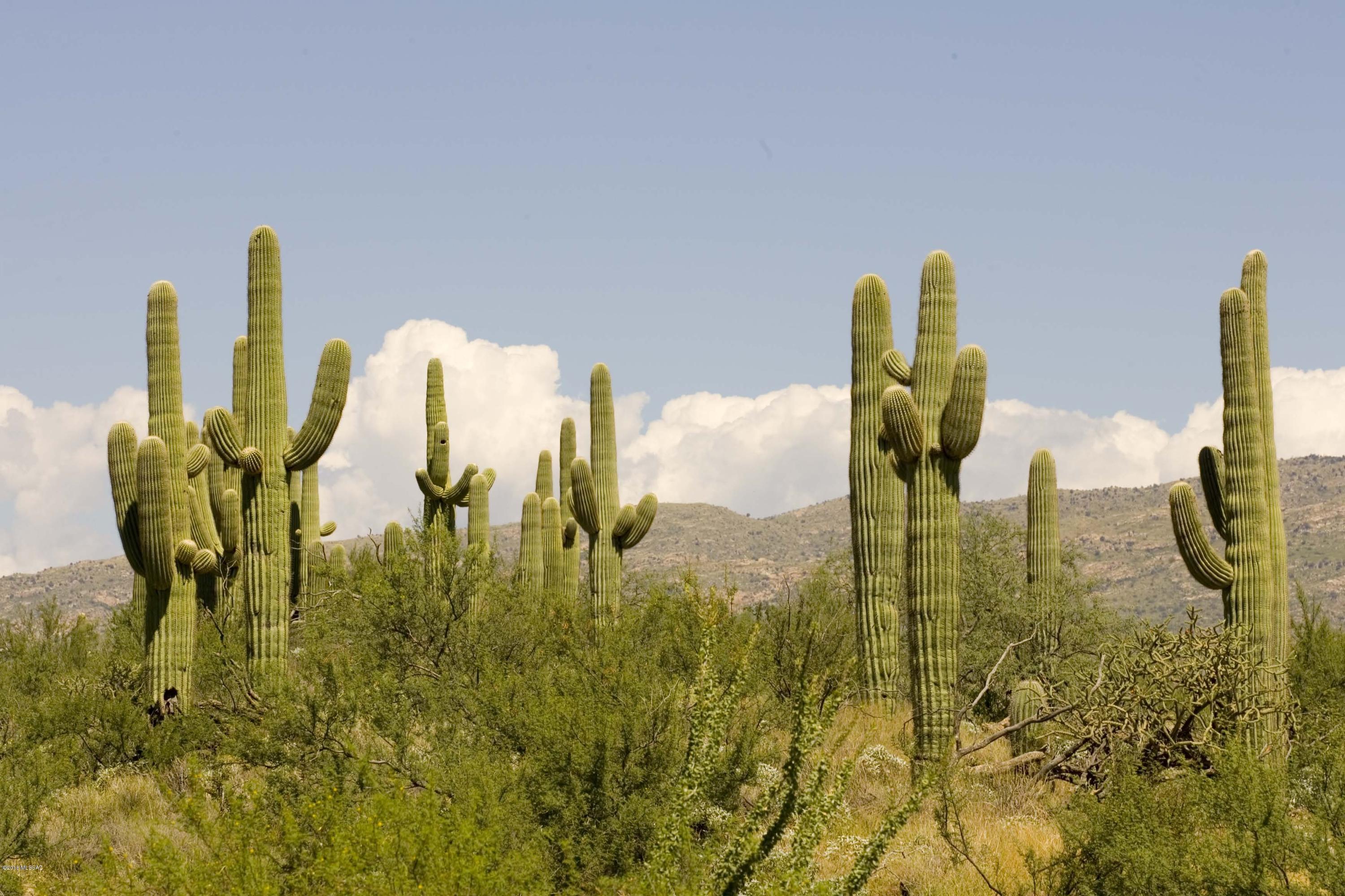 7970 S Circle C Ranch Road Unit: L-390