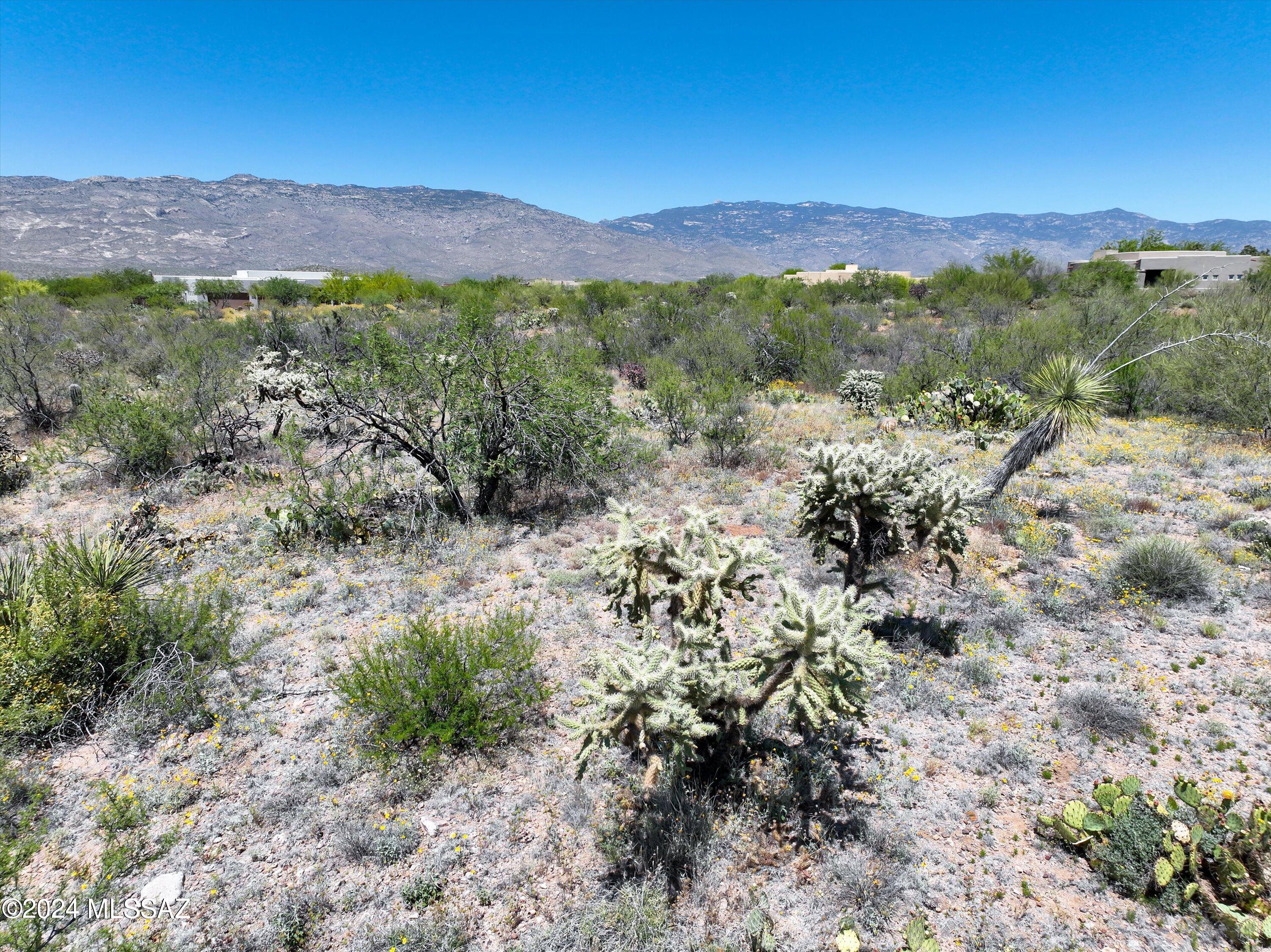 14763 E Circle M Ranch Place Unit: 348