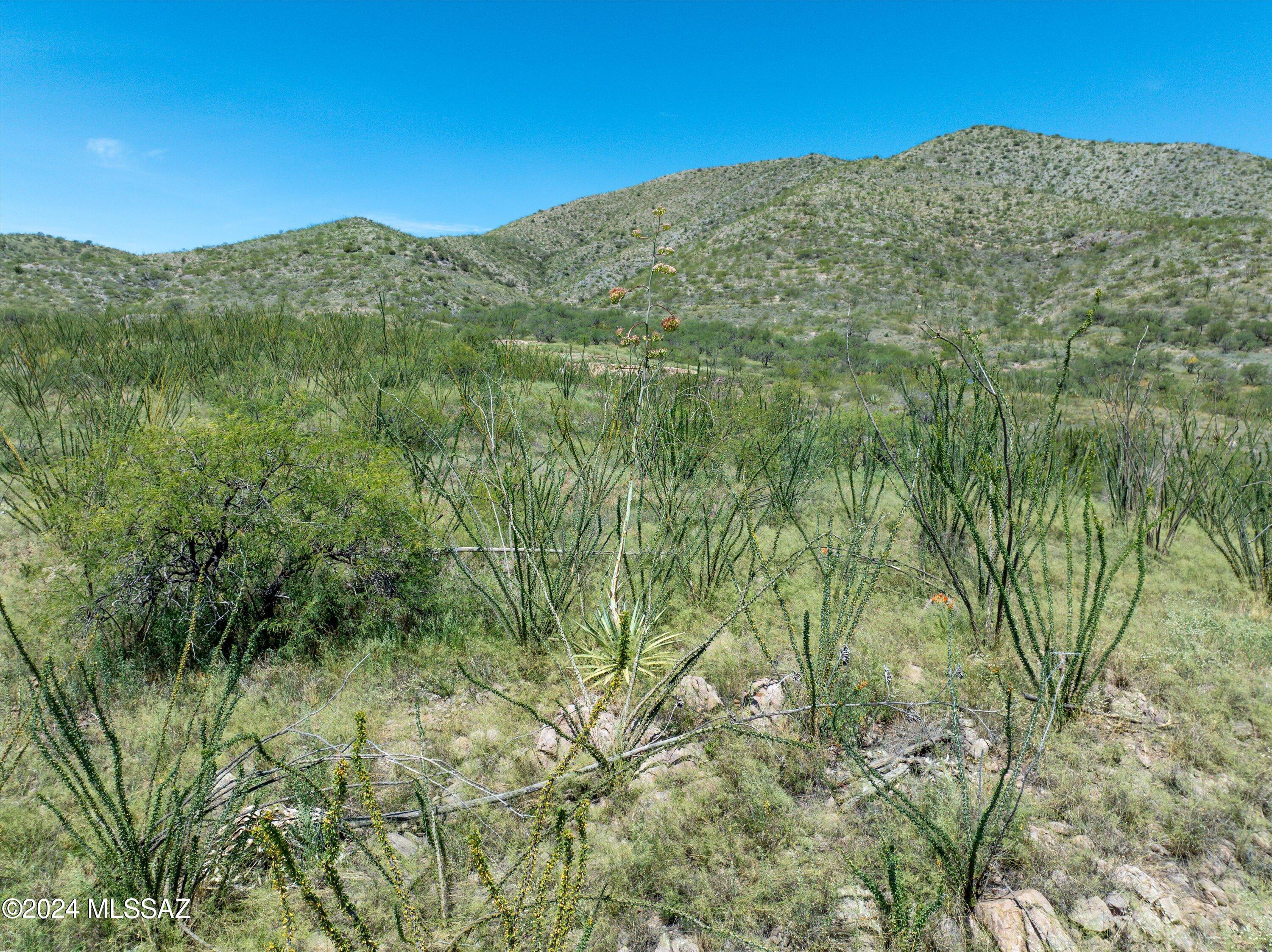 E Hilton Ranch Road