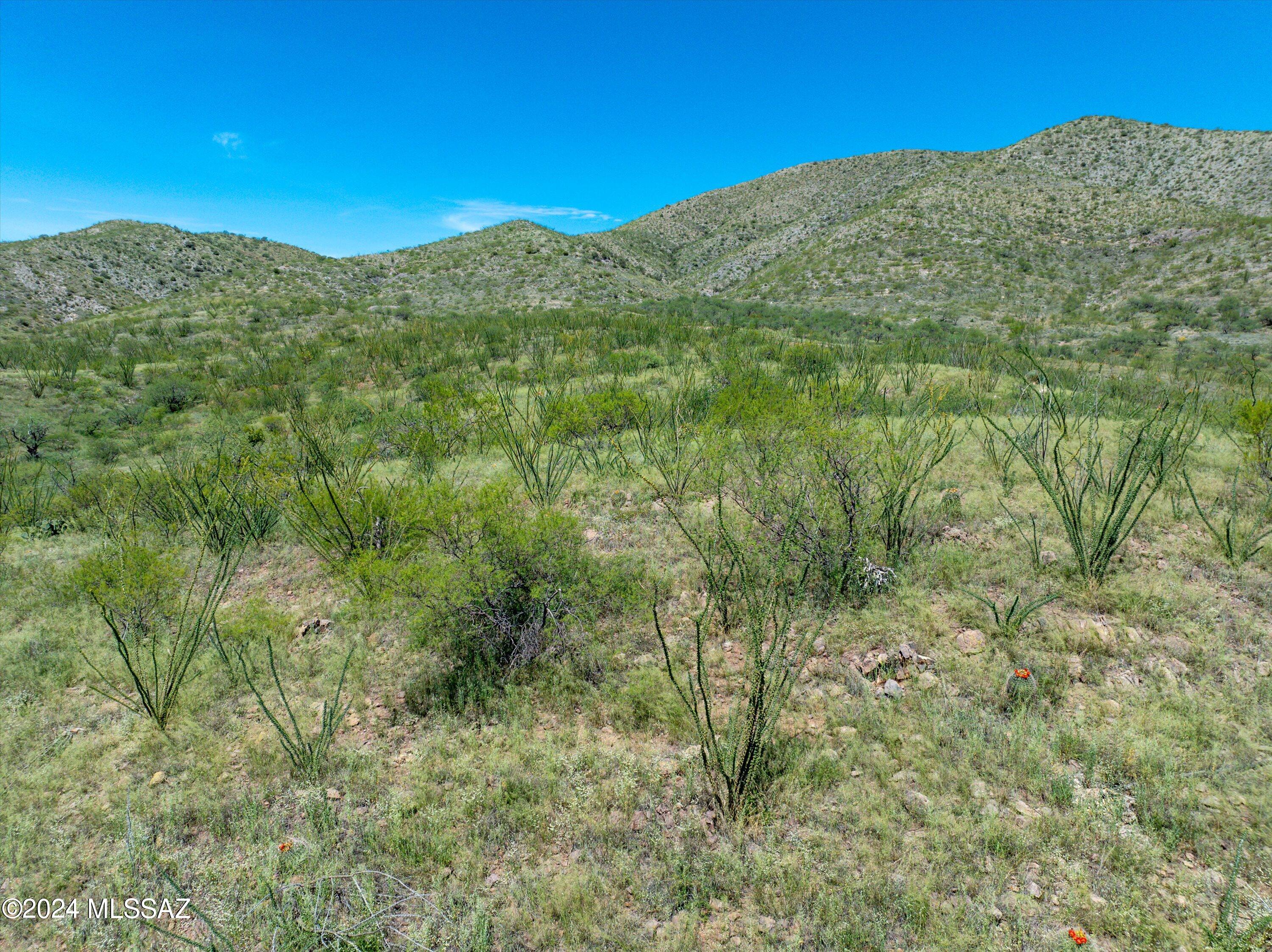 E Hilton Ranch Road