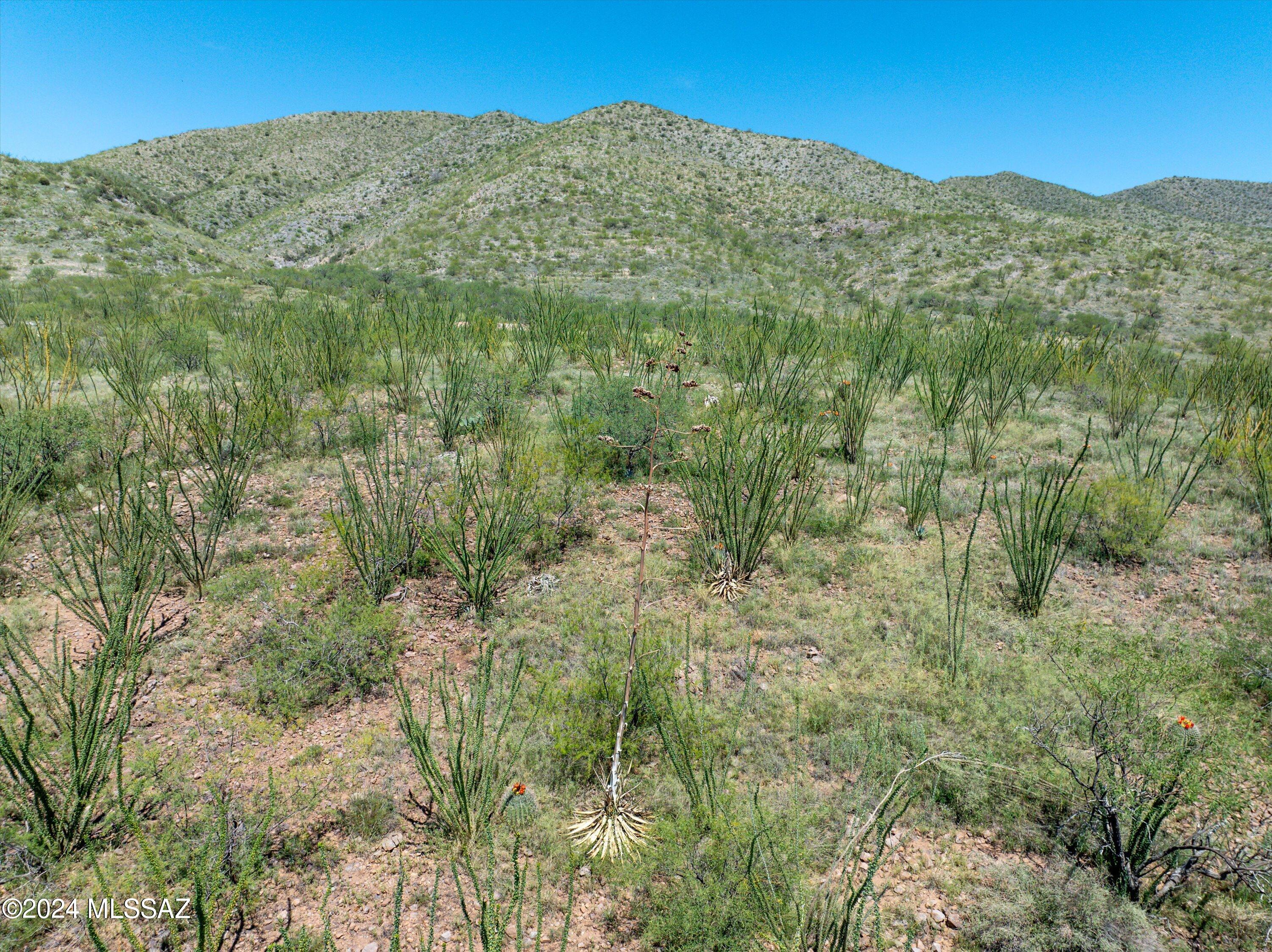 E Hilton Ranch Road