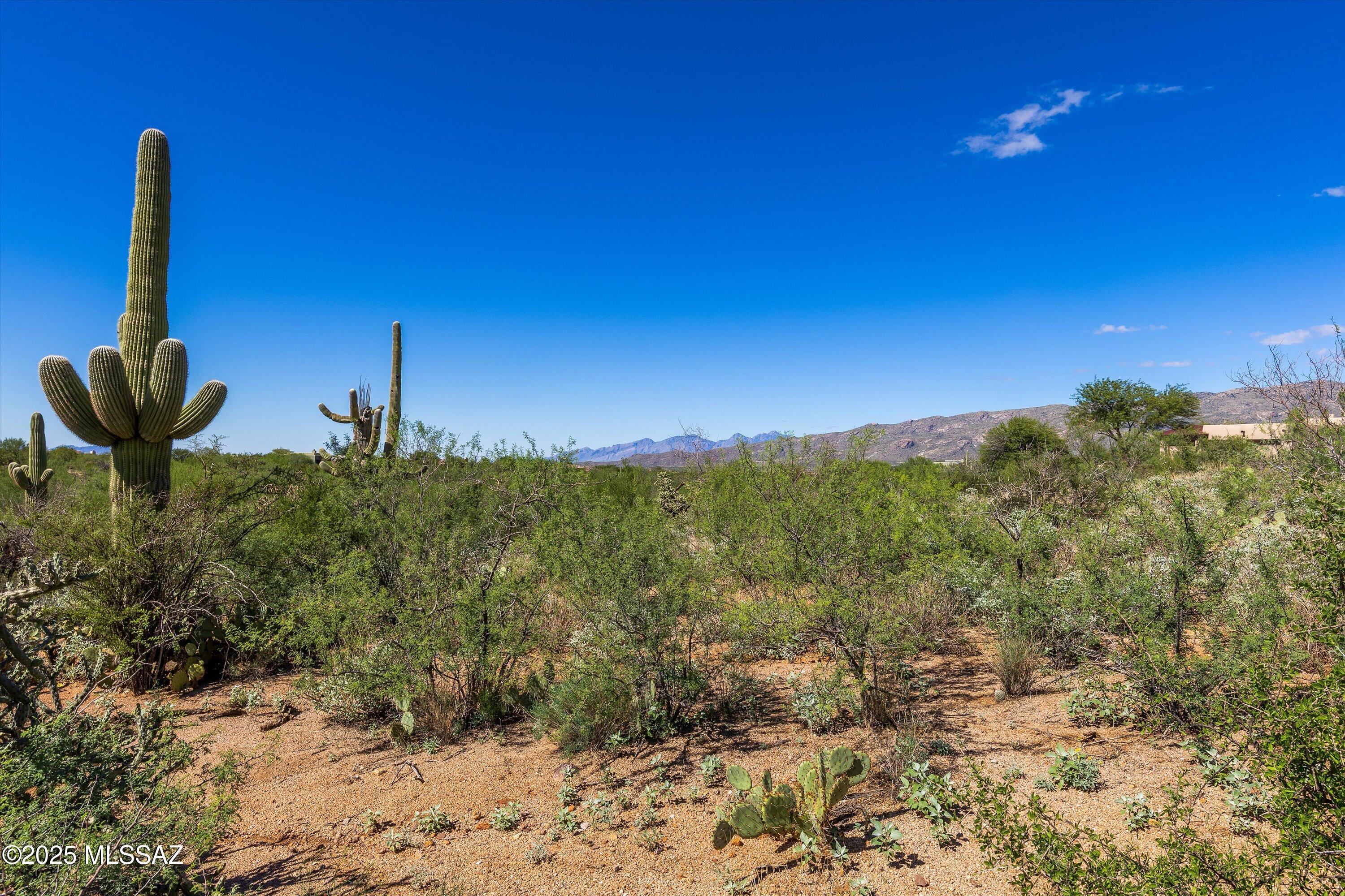 15150 E Two Bar Z Ranch Place Unit: Lot 32