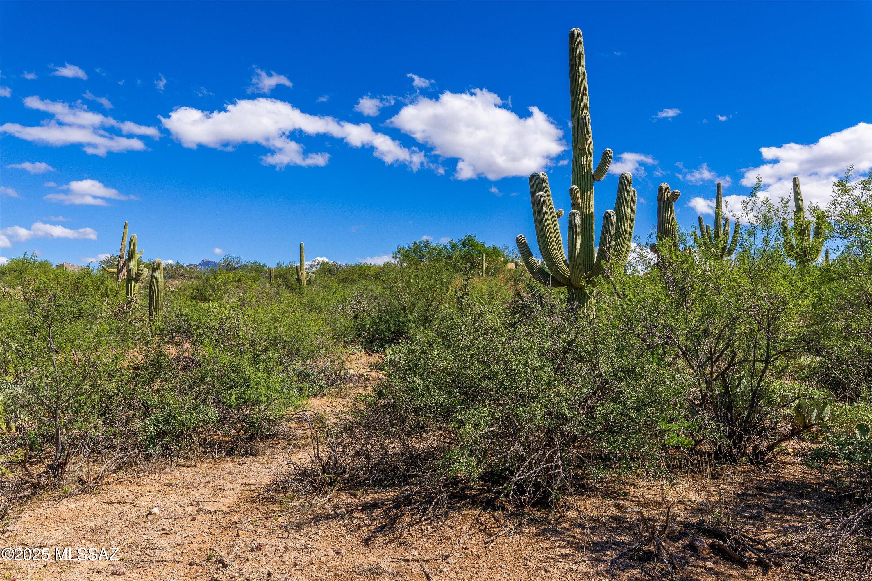 15150 E Two Bar Z Ranch Place Unit: Lot 32