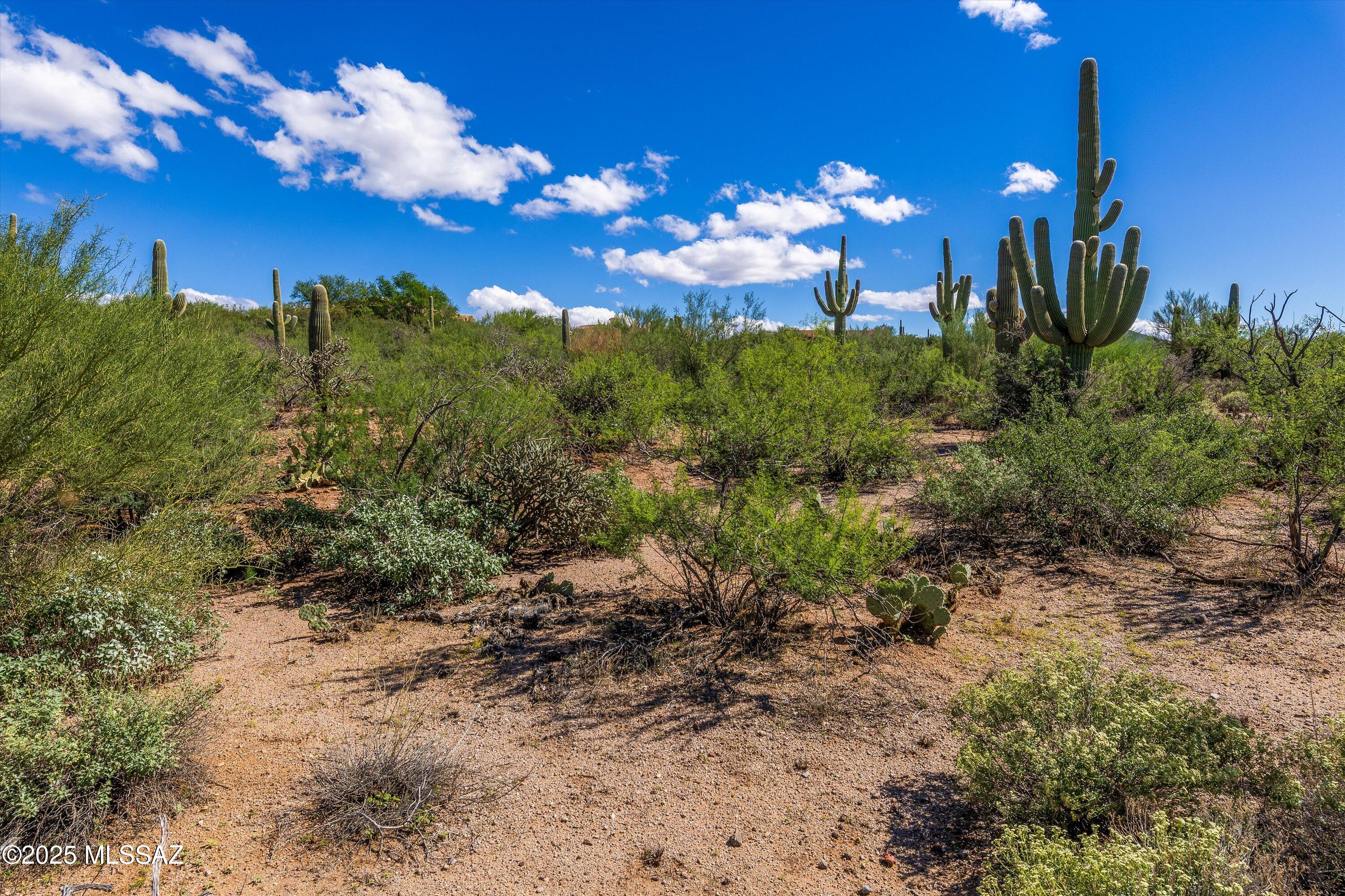 15150 E Two Bar Z Ranch Place Unit: Lot 32