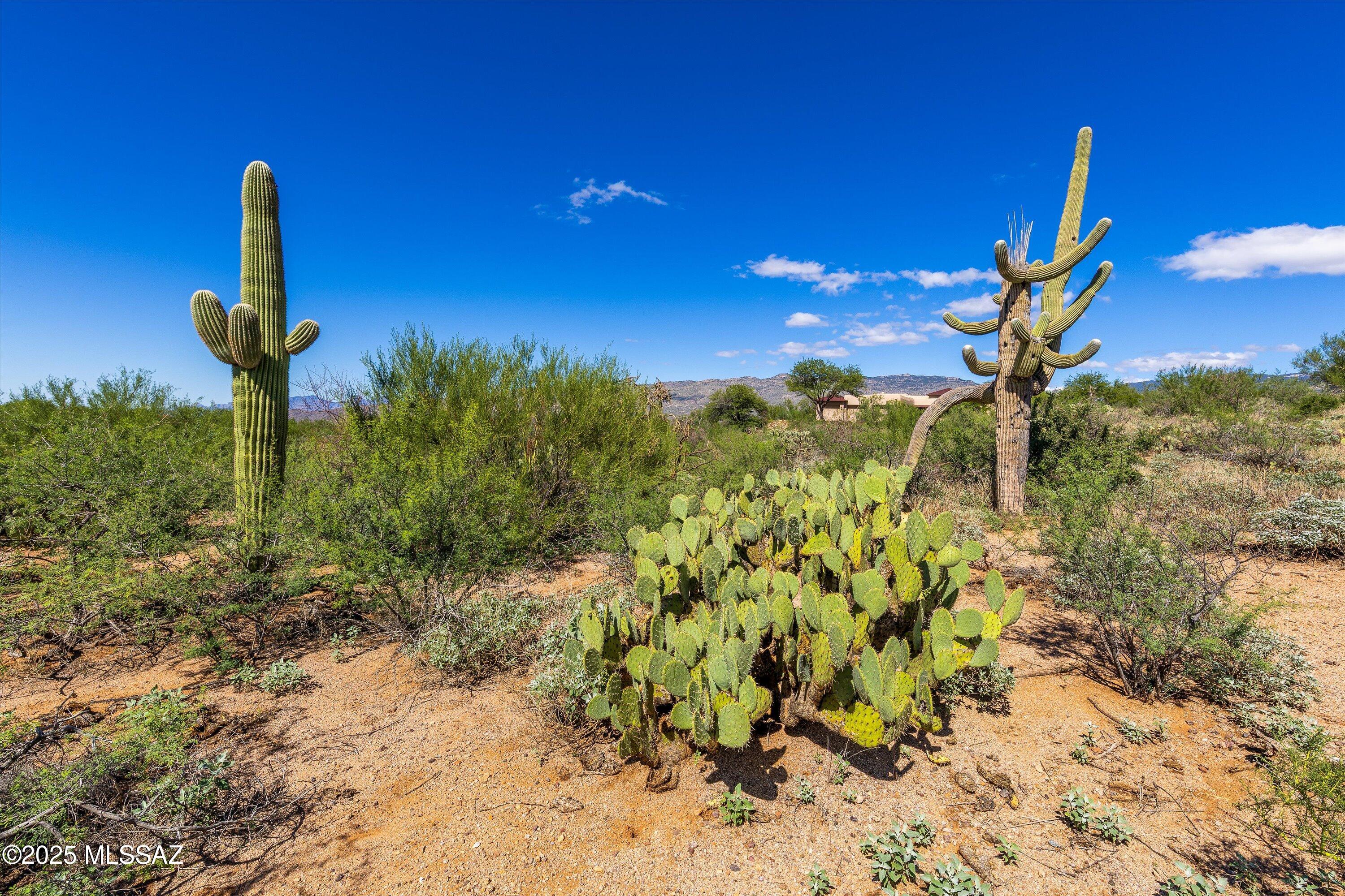 15150 E Two Bar Z Ranch Place Unit: Lot 32