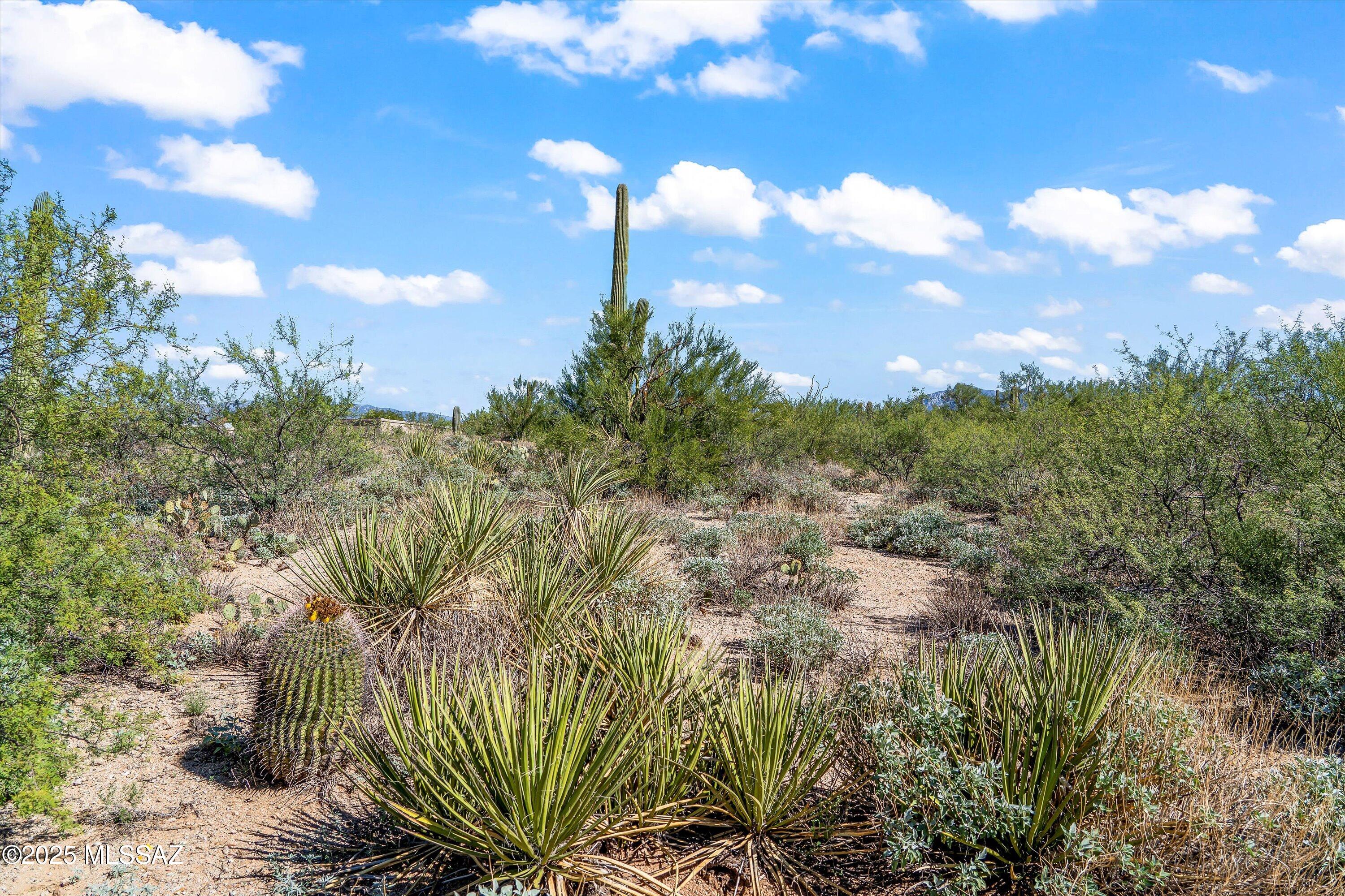 8623 S Tumbling M Ranch Place Unit: L-112