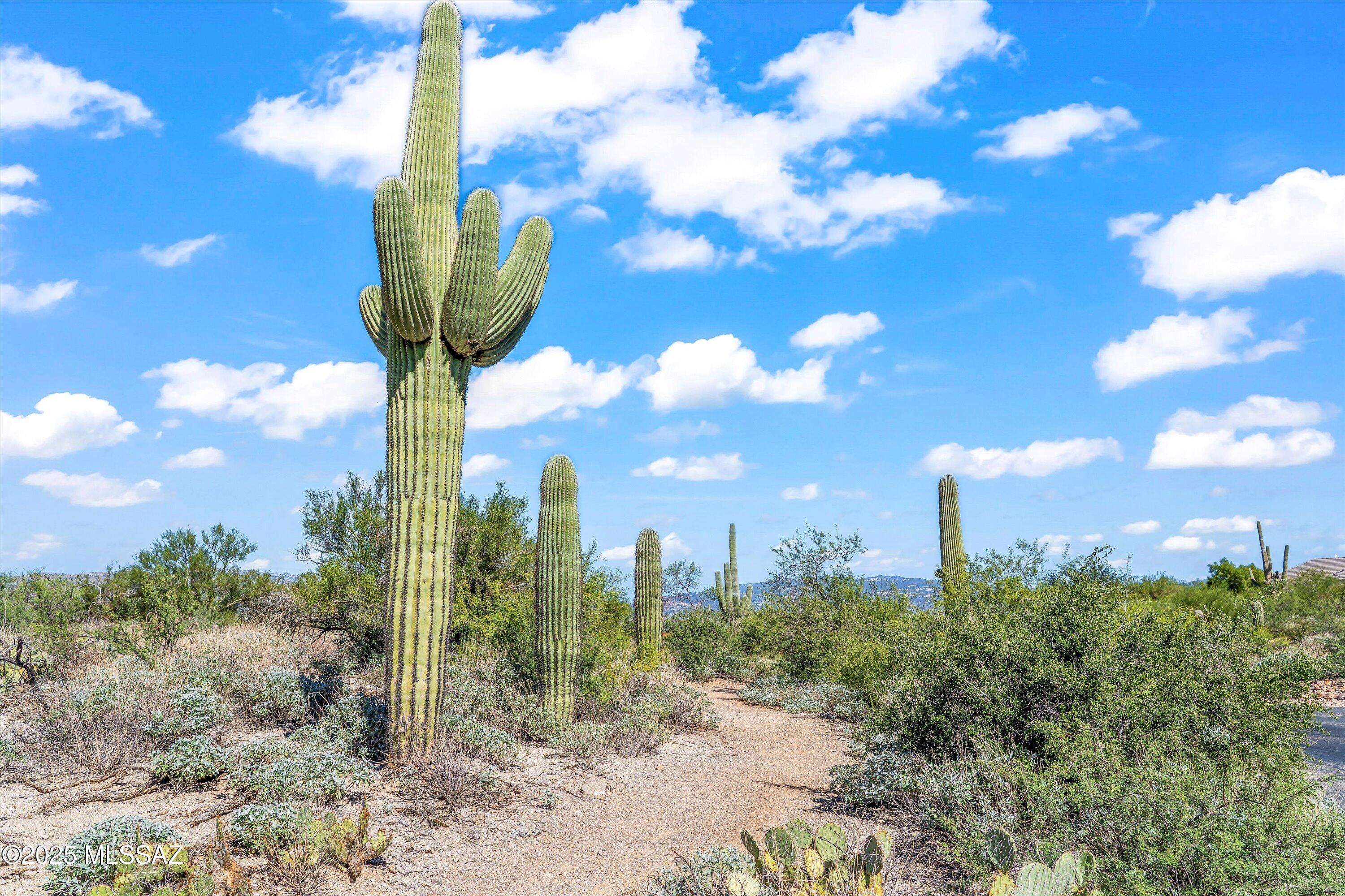 8623 S Tumbling M Ranch Place Unit: L-112