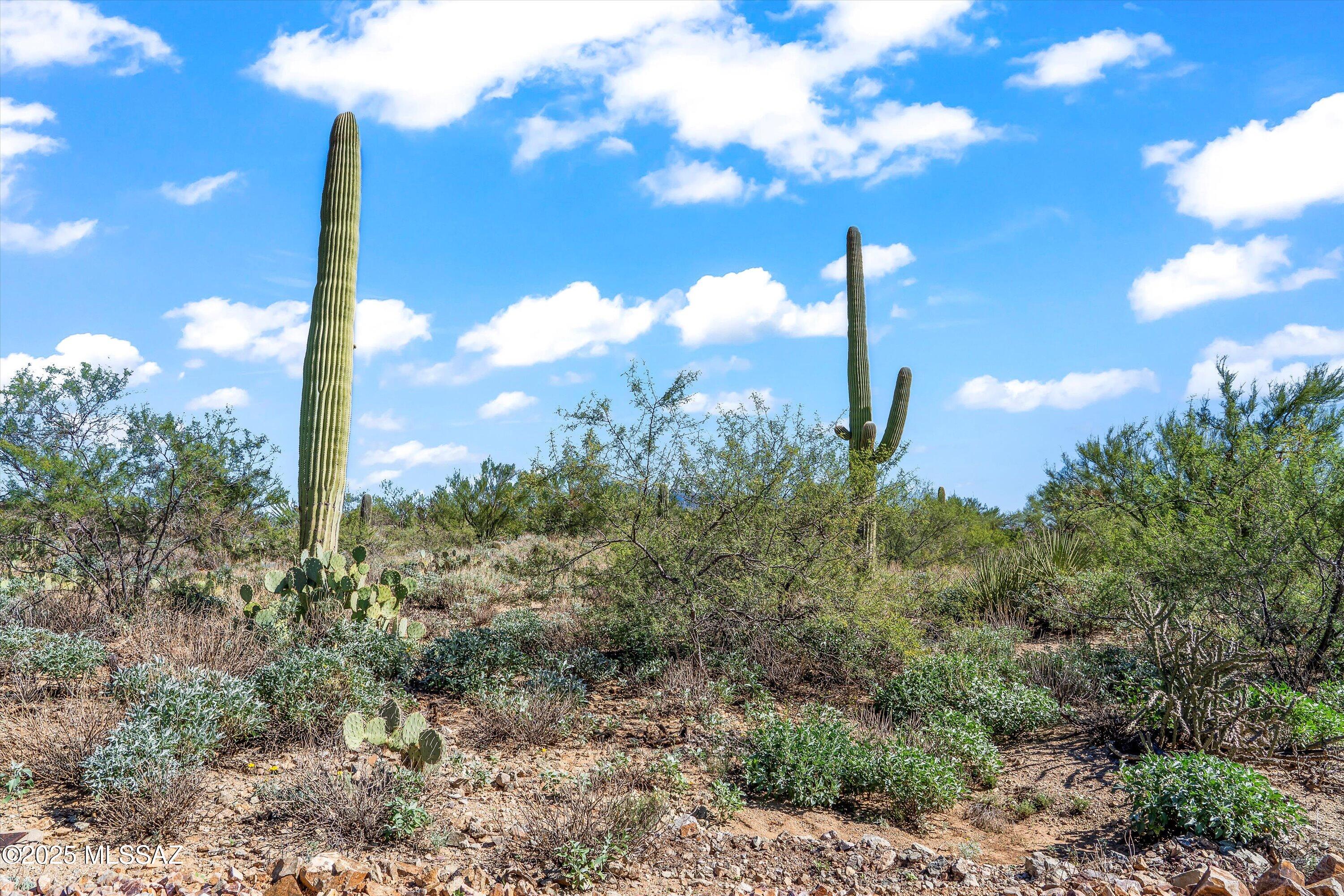 8623 S Tumbling M Ranch Place Unit: L-112