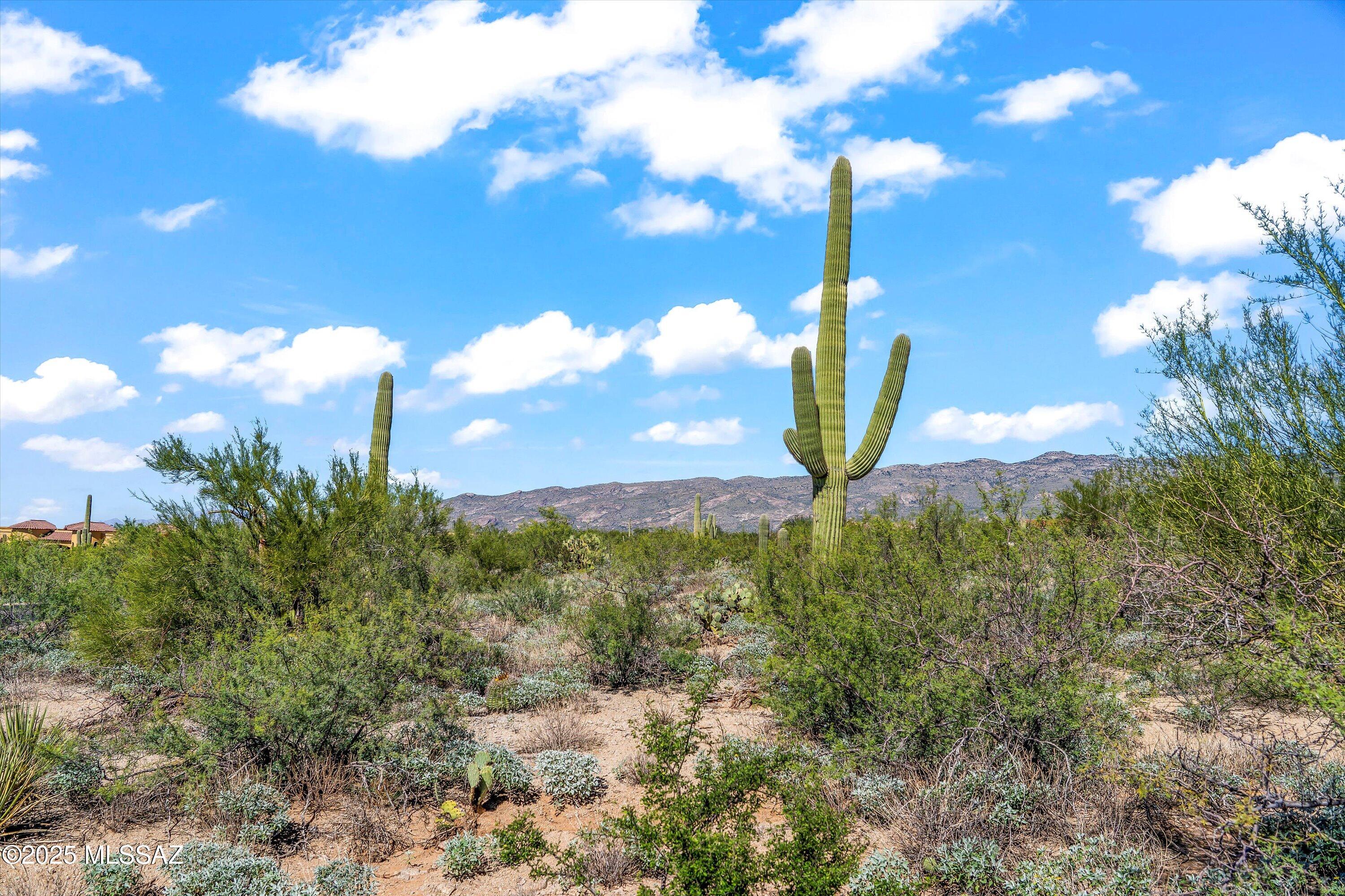 8623 S Tumbling M Ranch Place Unit: L-112