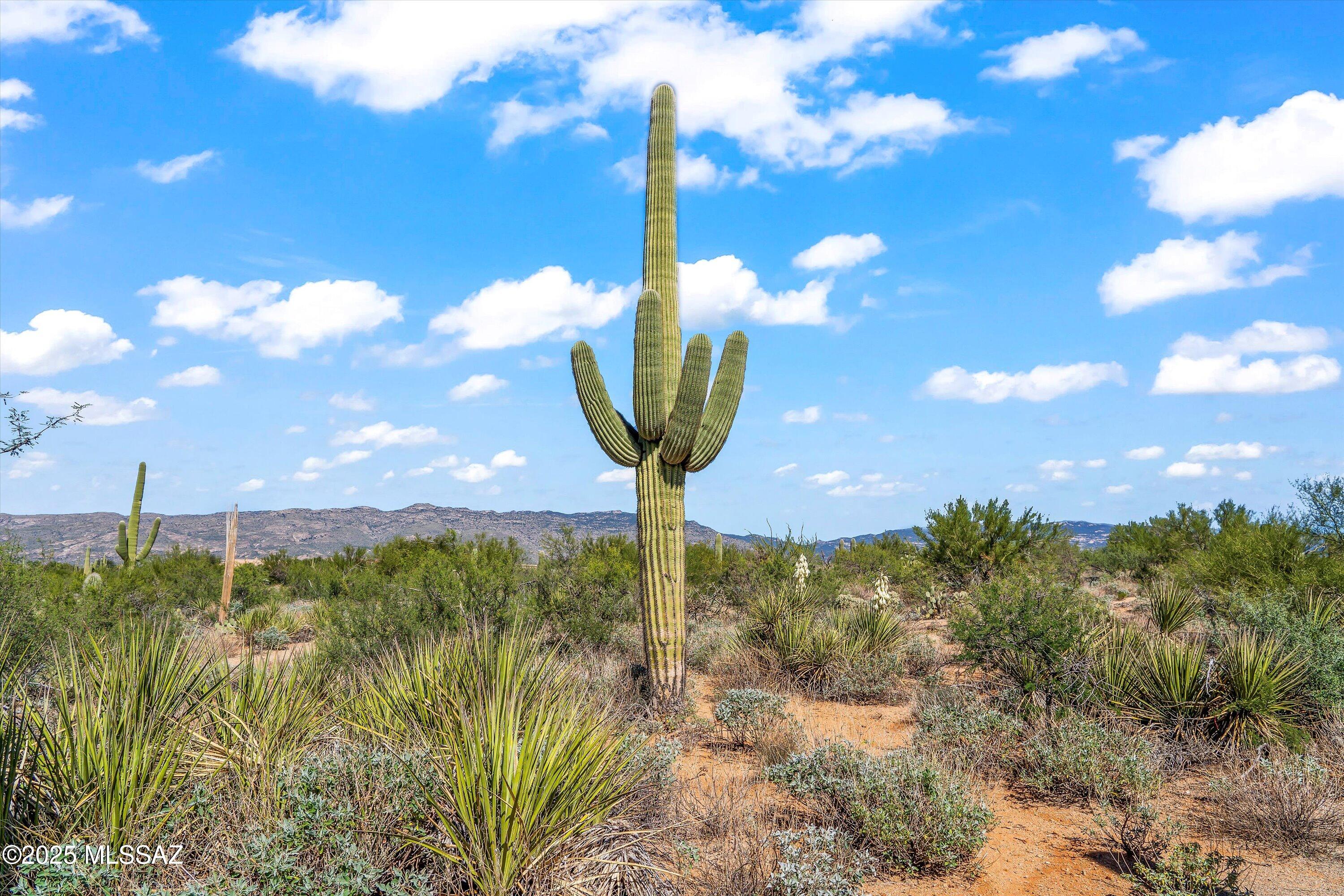 8623 S Tumbling M Ranch Place Unit: L-112