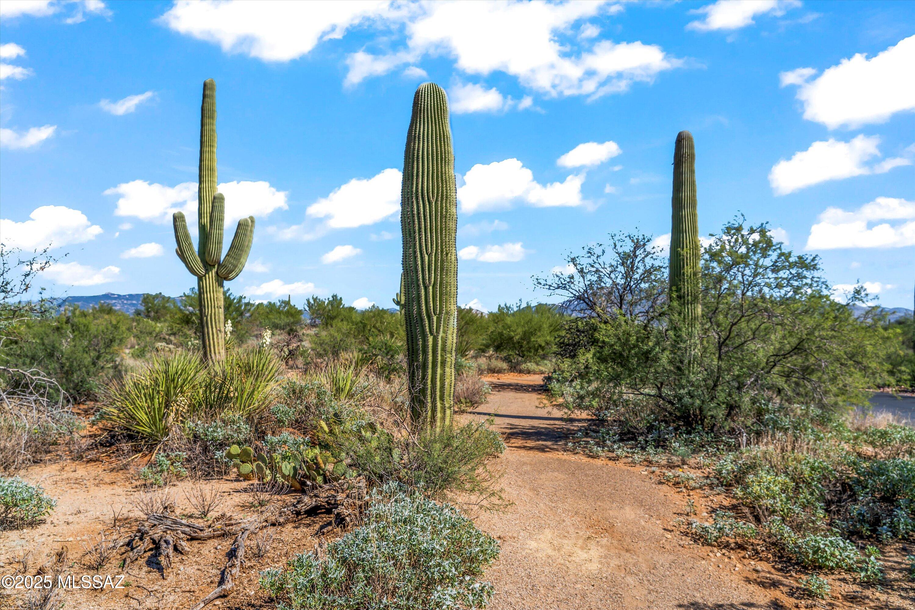 8623 S Tumbling M Ranch Place Unit: L-112