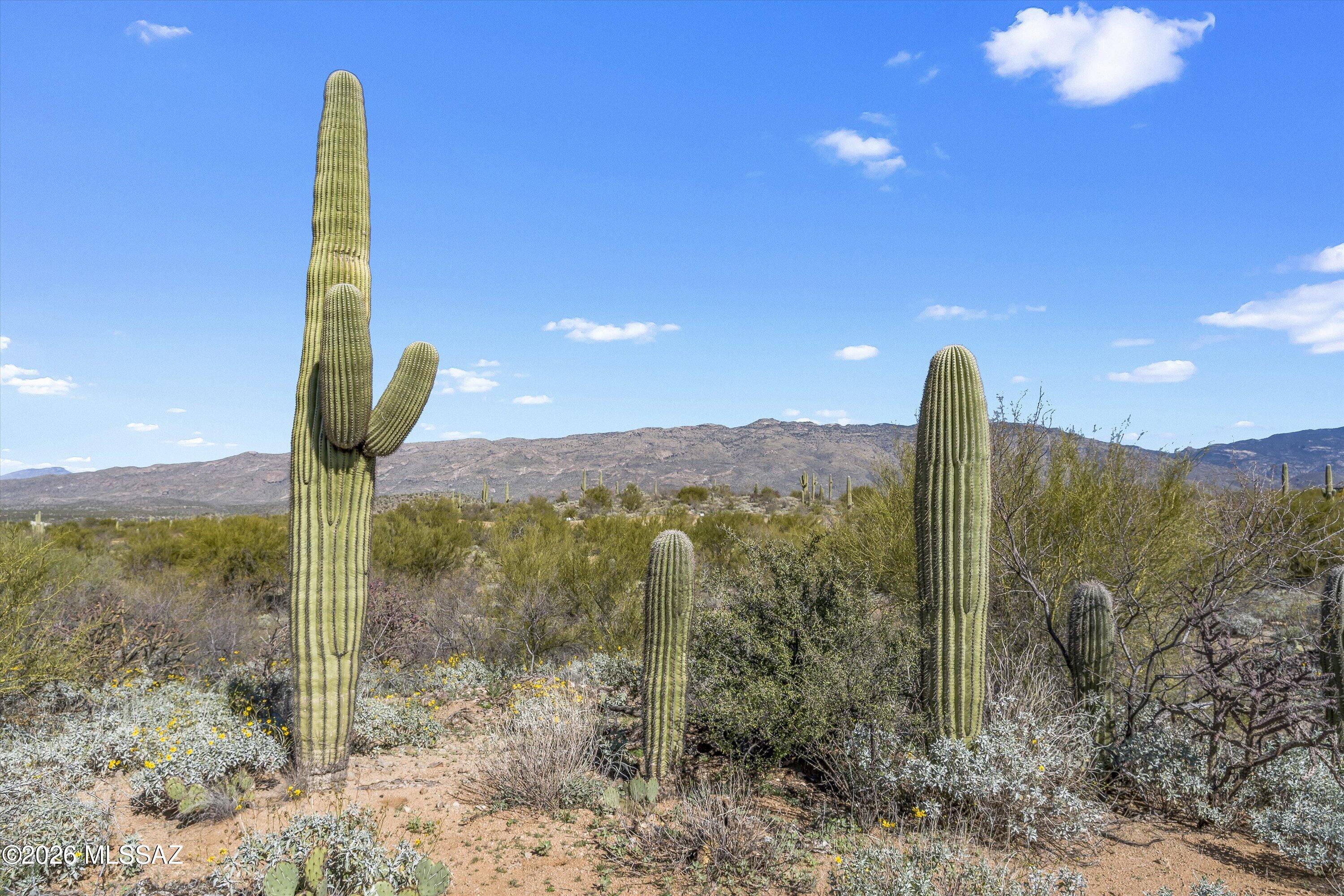 8293 S Tumbling Y Ranch Place 142