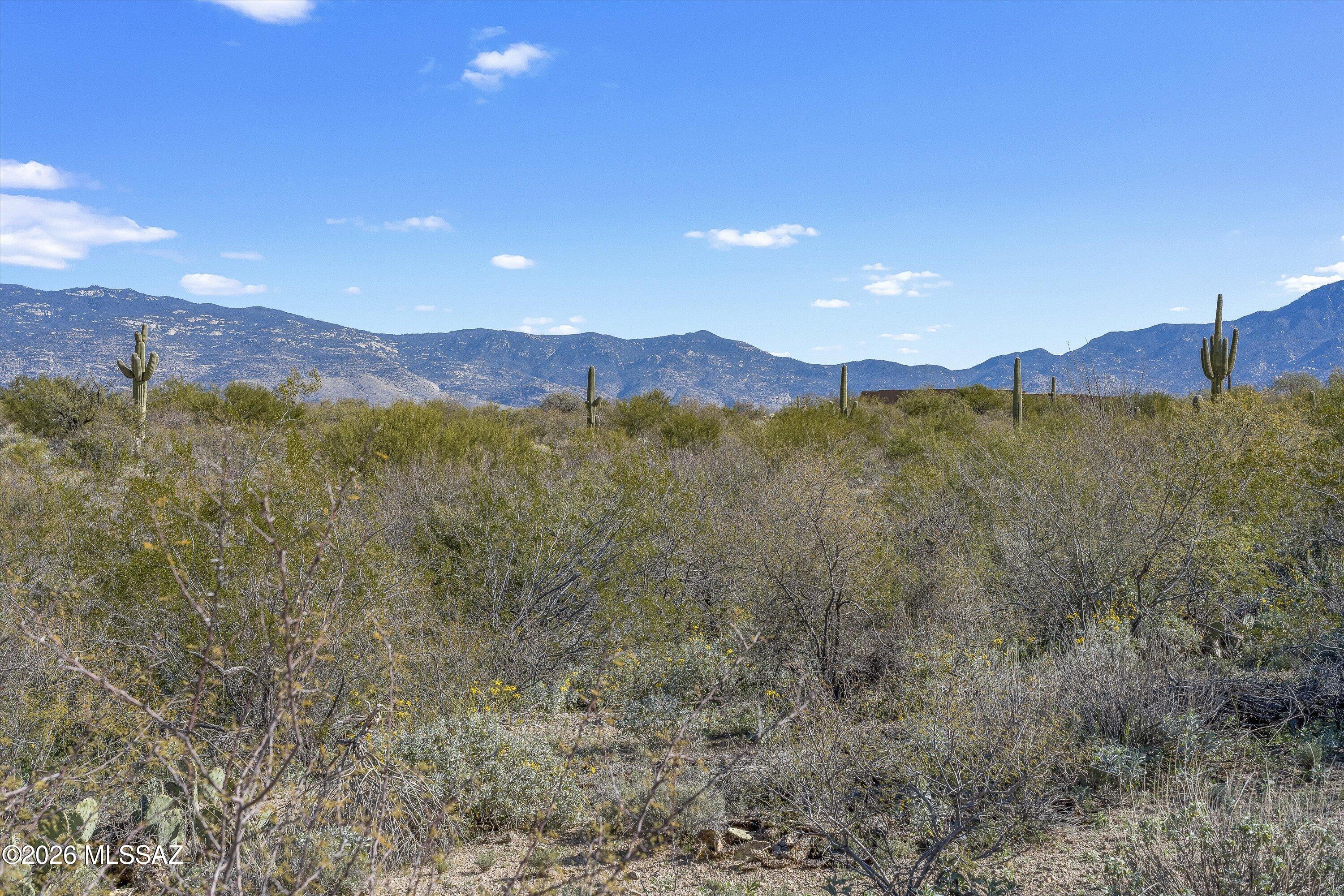 8293 S Tumbling Y Ranch Place 142