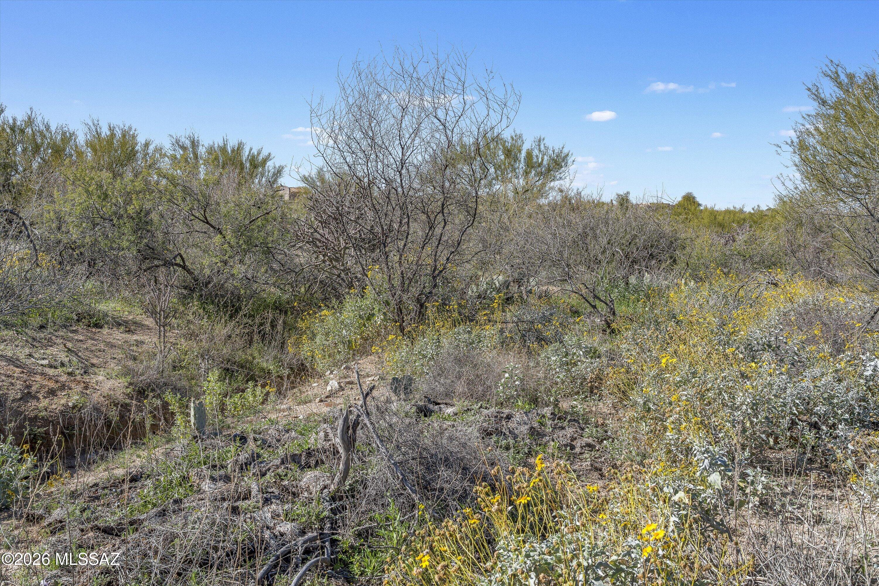 8293 S Tumbling Y Ranch Place 142