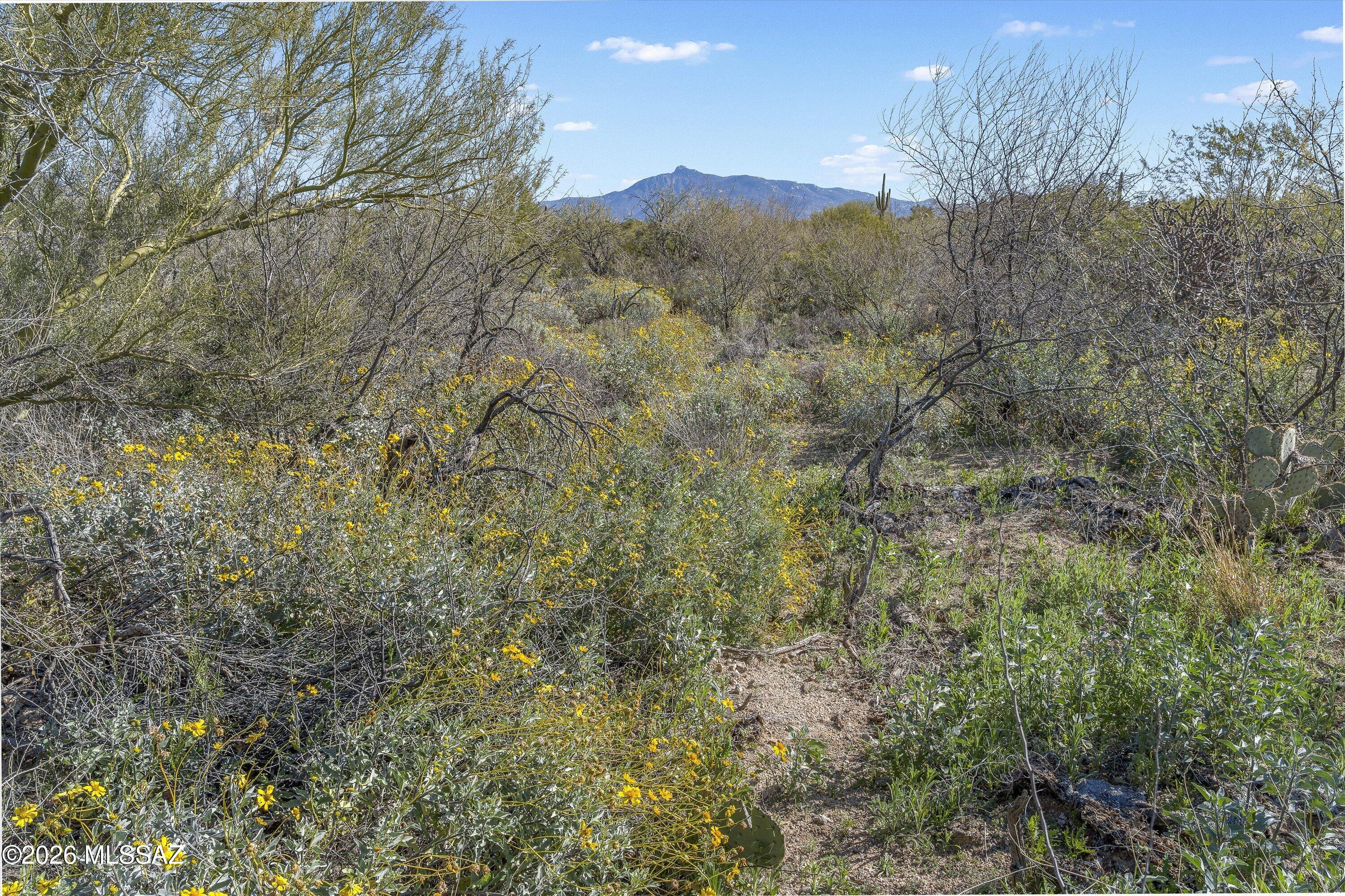 8293 S Tumbling Y Ranch Place 142