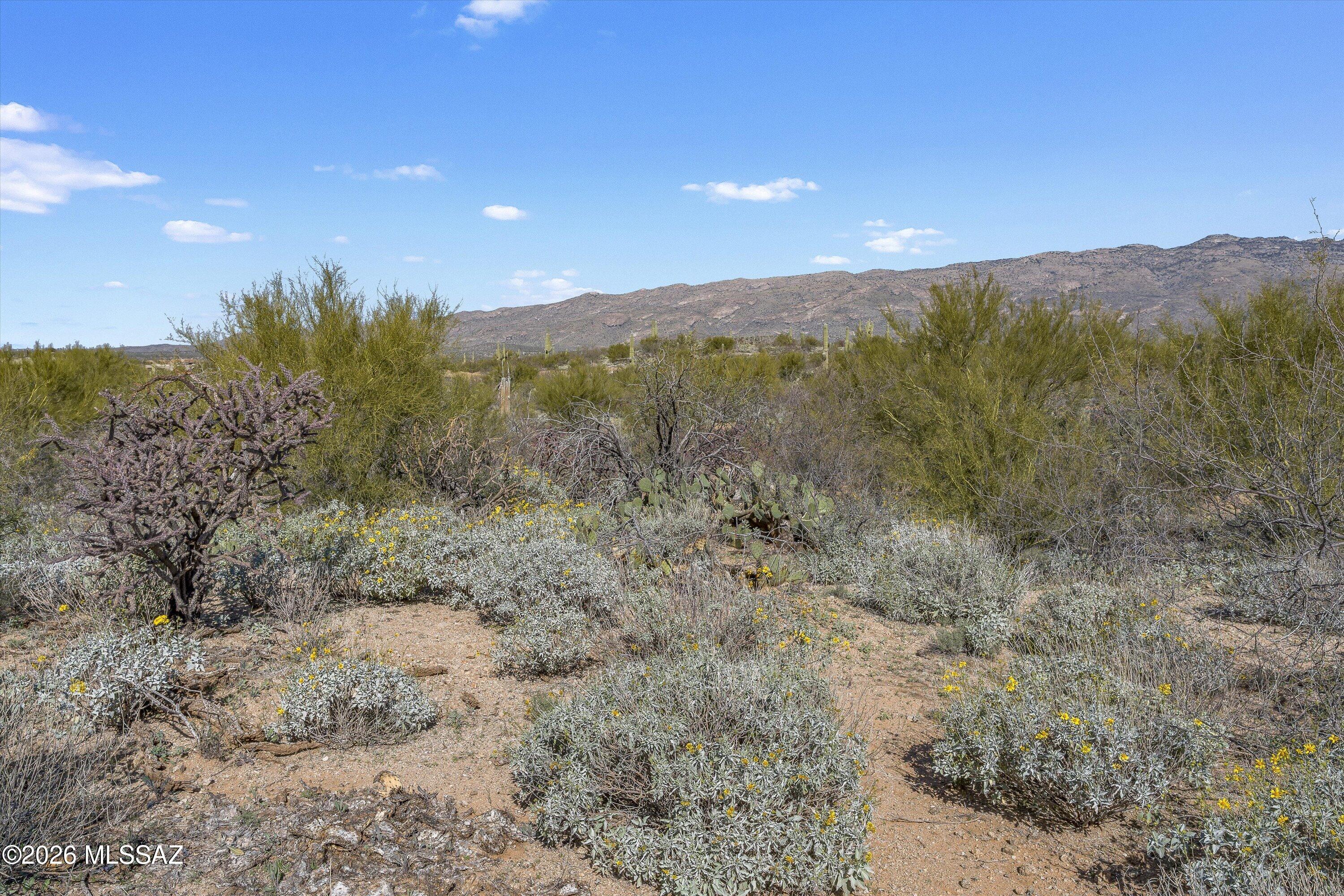 8293 S Tumbling Y Ranch Place 142