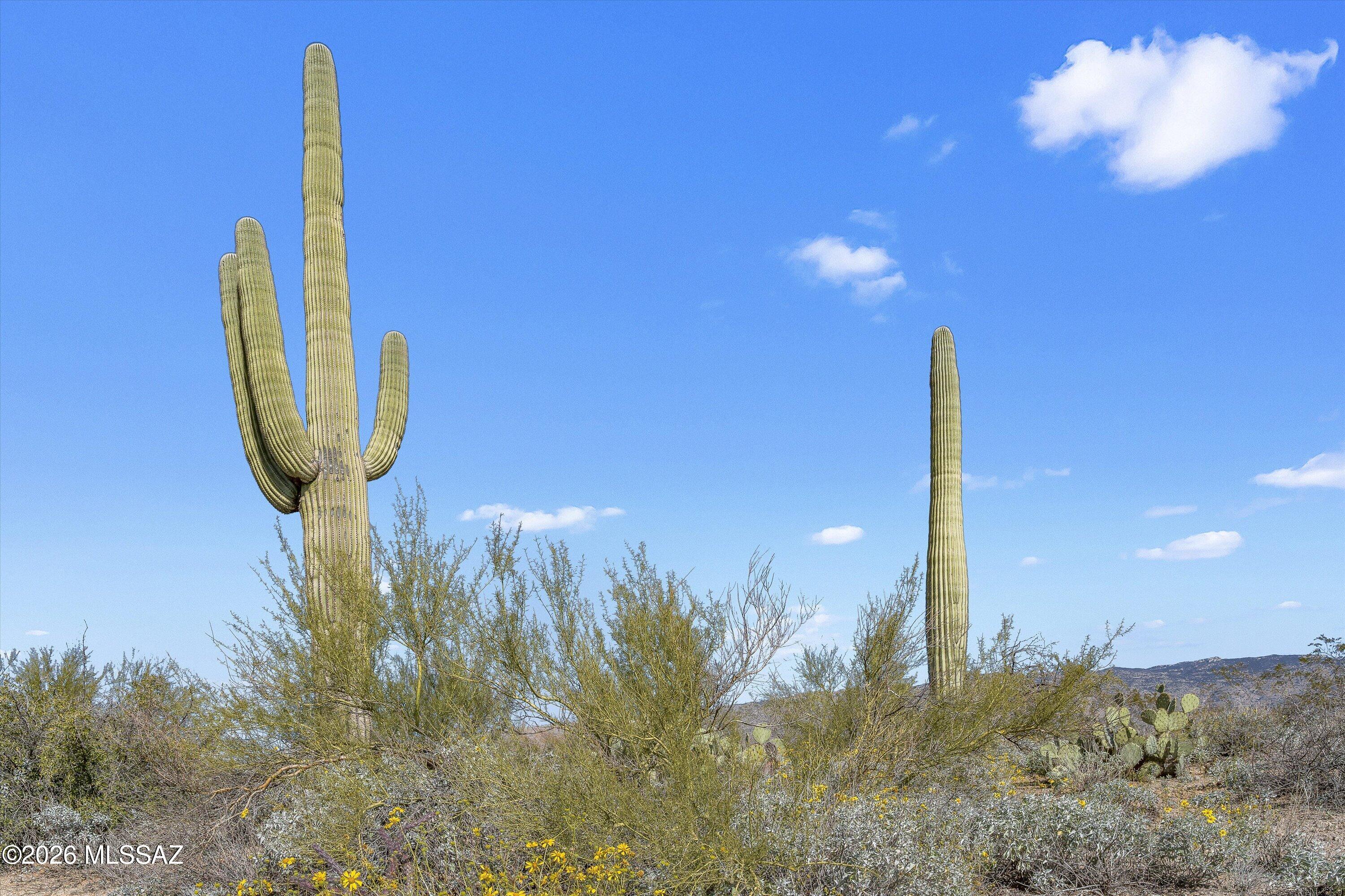 8293 S Tumbling Y Ranch Place 142