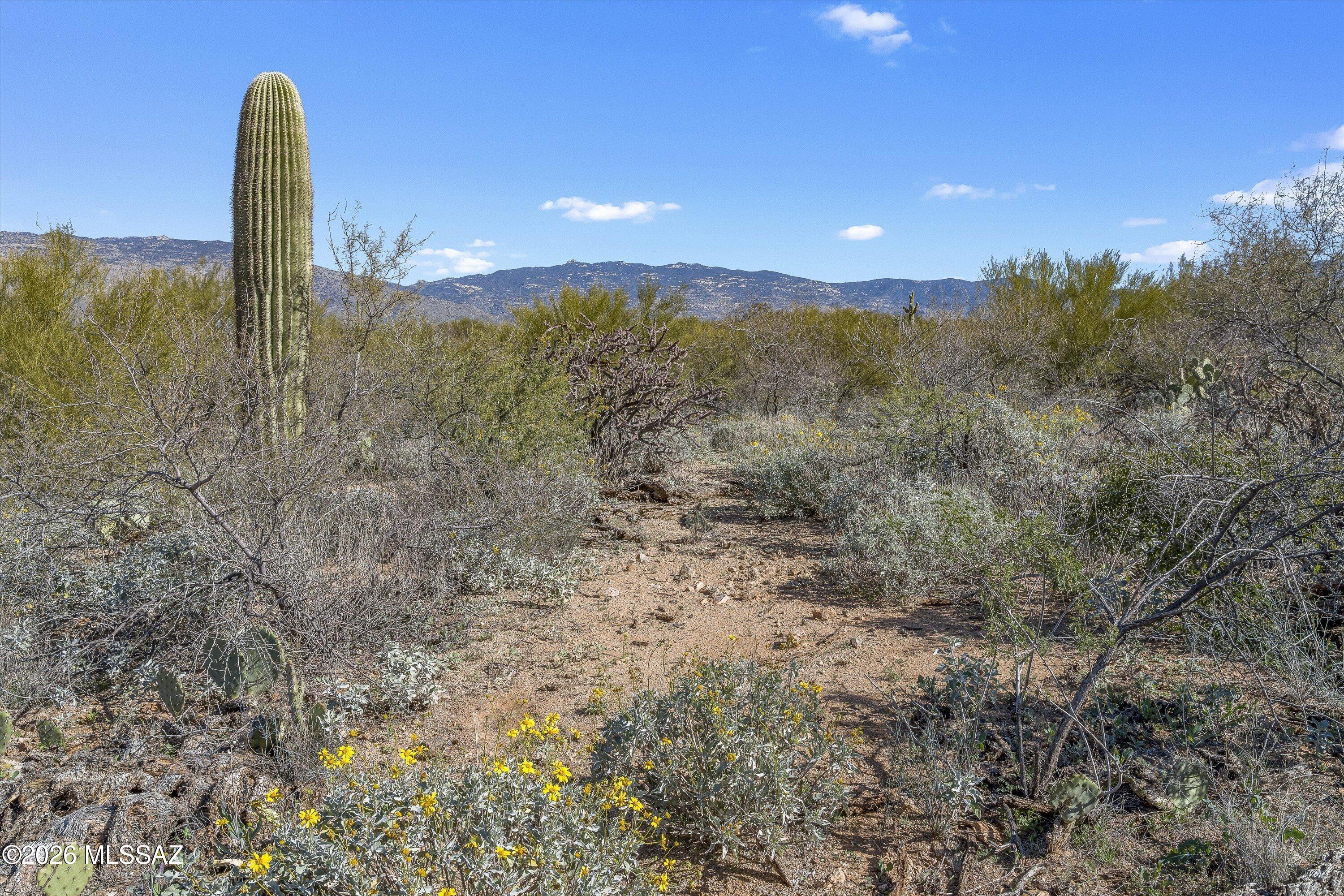 8293 S Tumbling Y Ranch Place 142