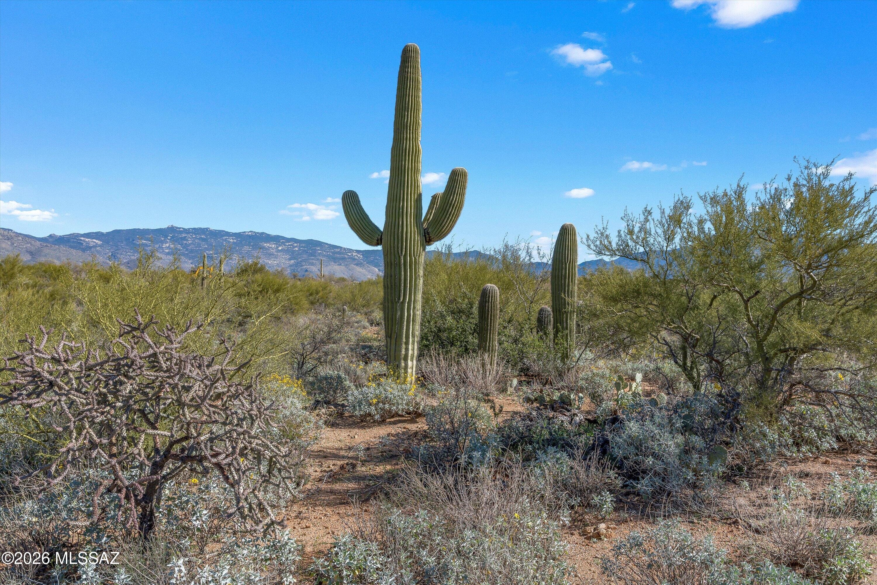 8293 S Tumbling Y Ranch Place 142