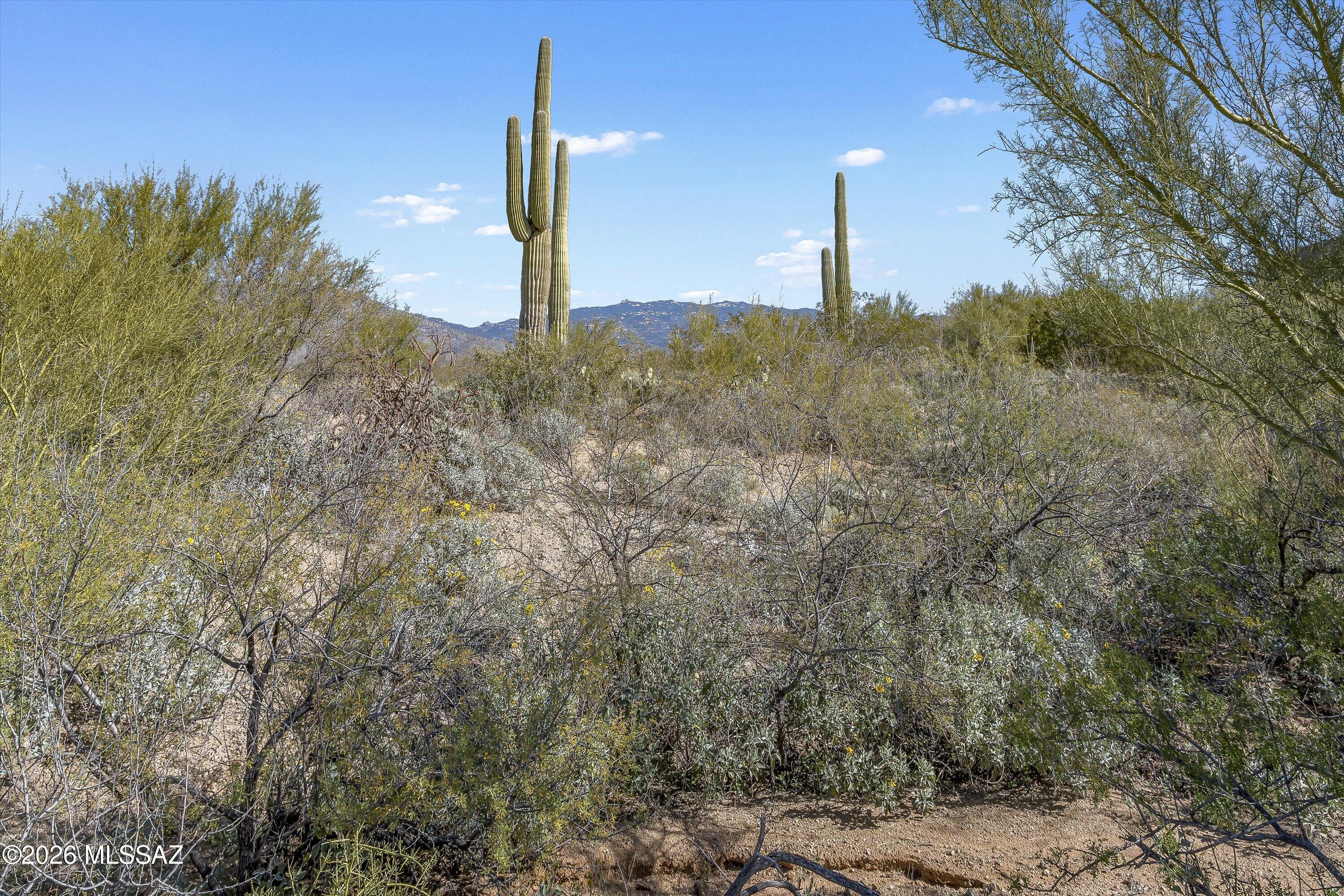 8293 S Tumbling Y Ranch Place 142