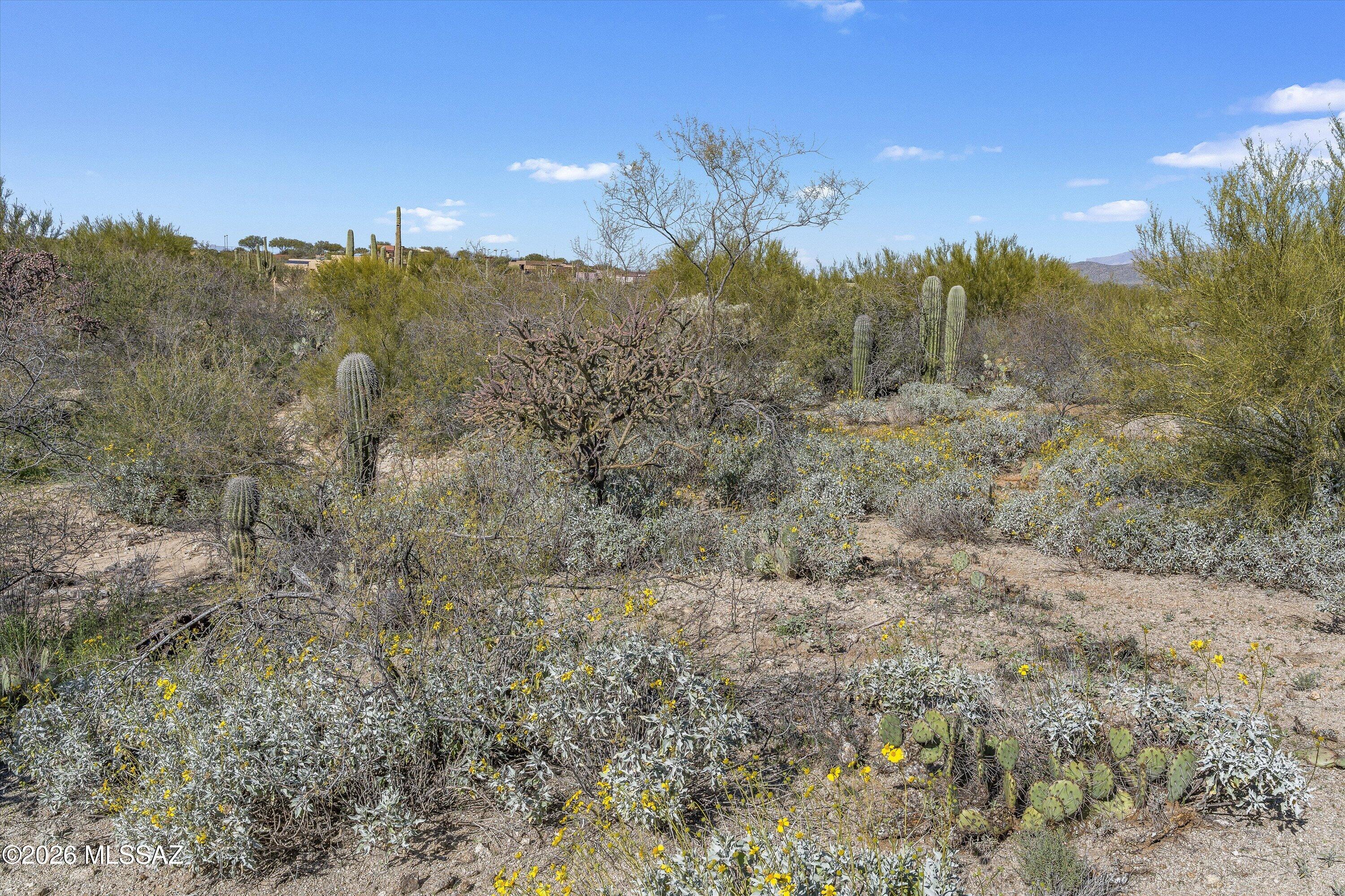 8293 S Tumbling Y Ranch Place 142