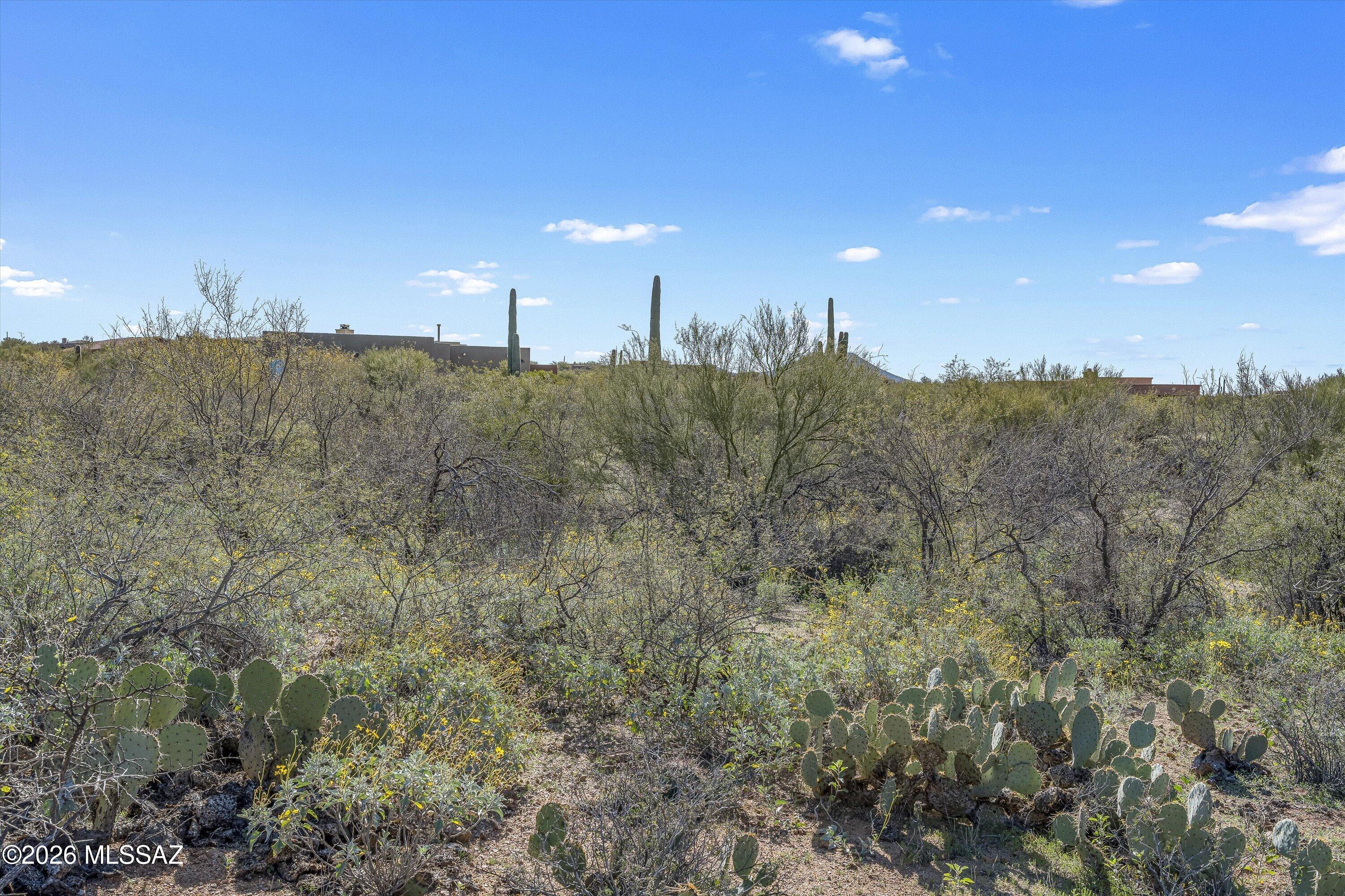 8293 S Tumbling Y Ranch Place 142