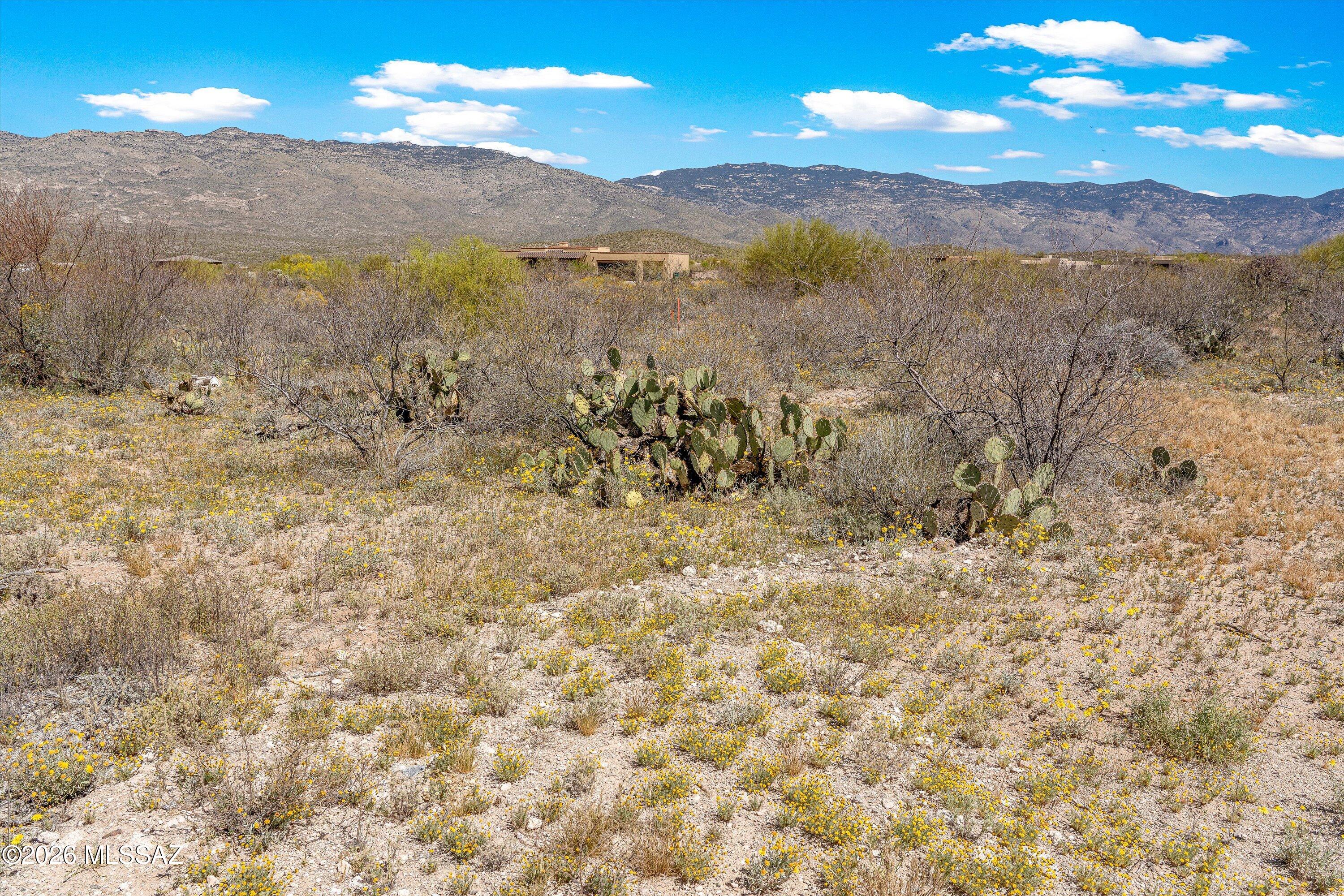 14157 E Circle Q Ranch Place L-334