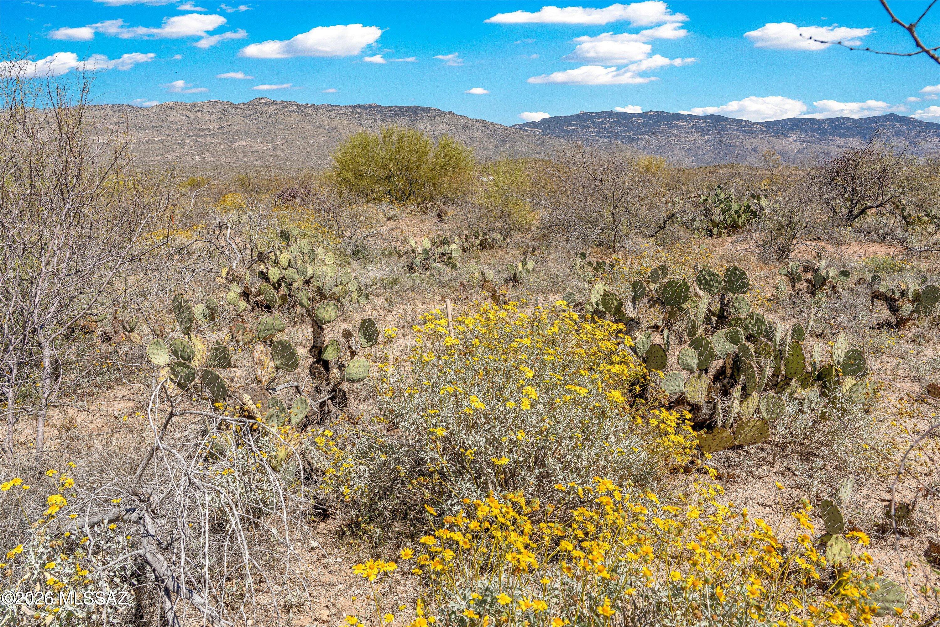 14157 E Circle Q Ranch Place L-334