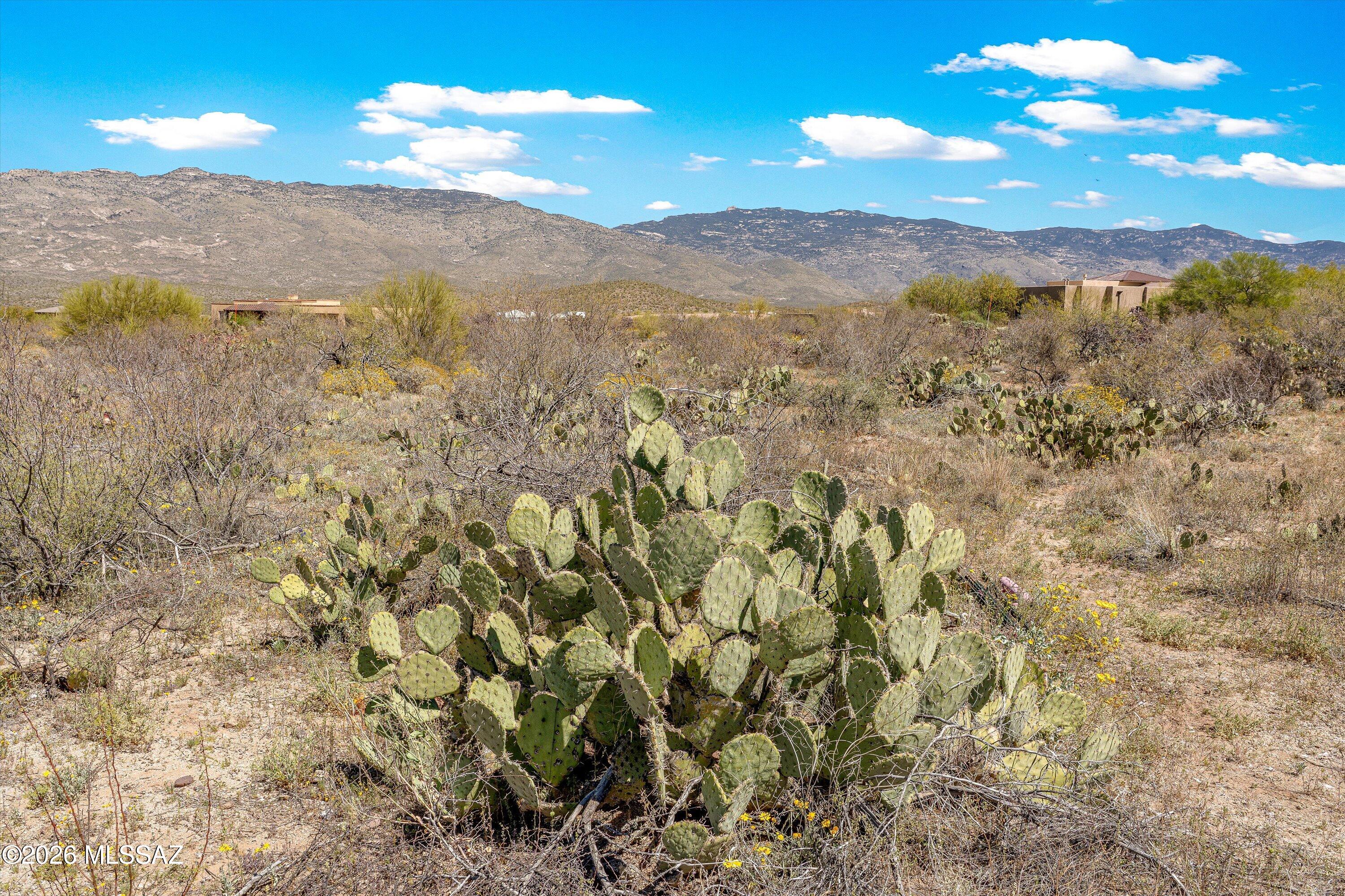 14157 E Circle Q Ranch Place L-334