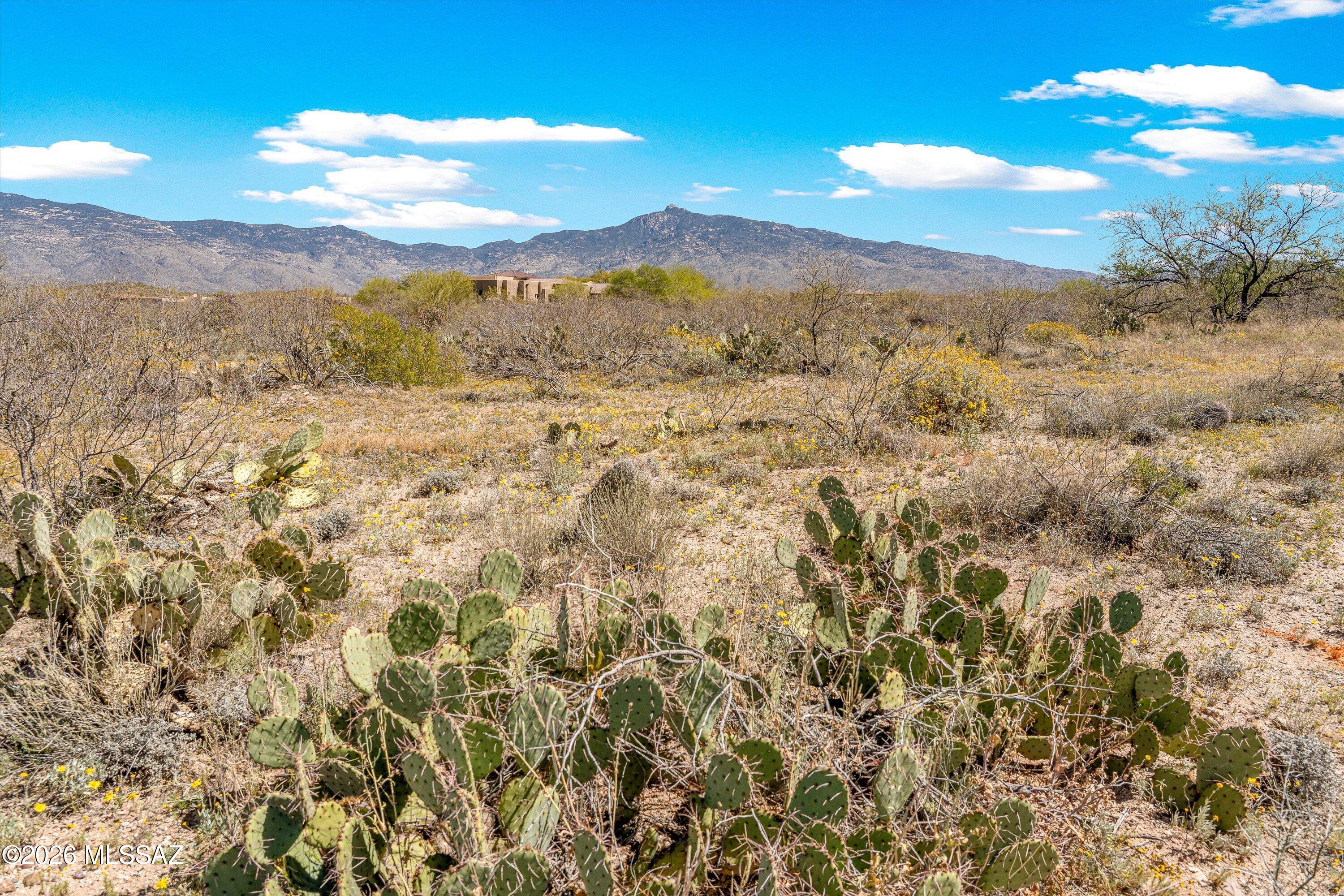 14157 E Circle Q Ranch Place L-334