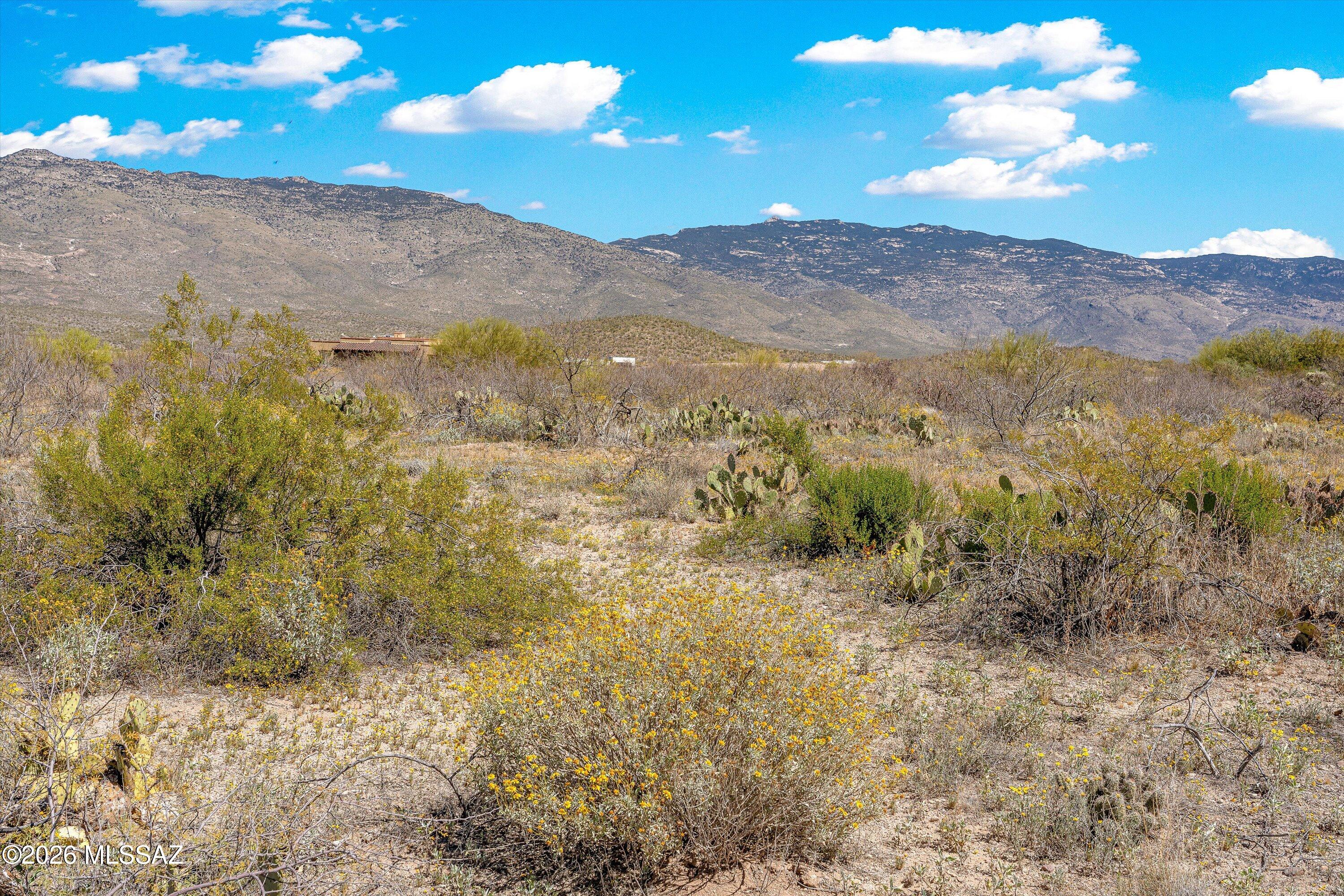 14157 E Circle Q Ranch Place L-334