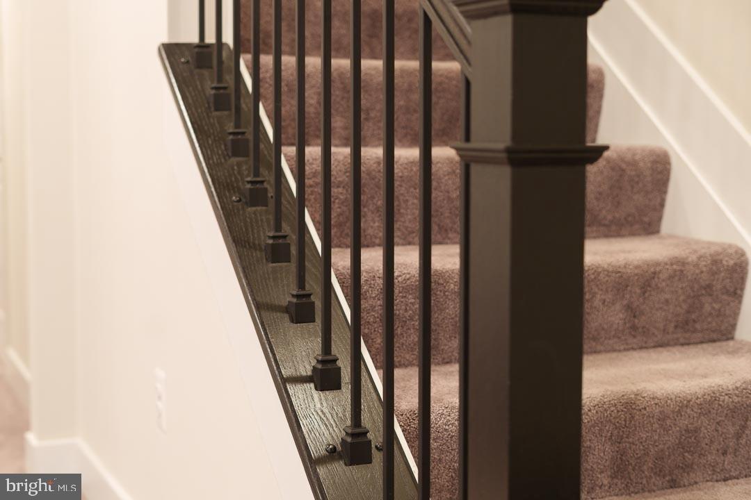 11519 Charlotte Bronte Ln