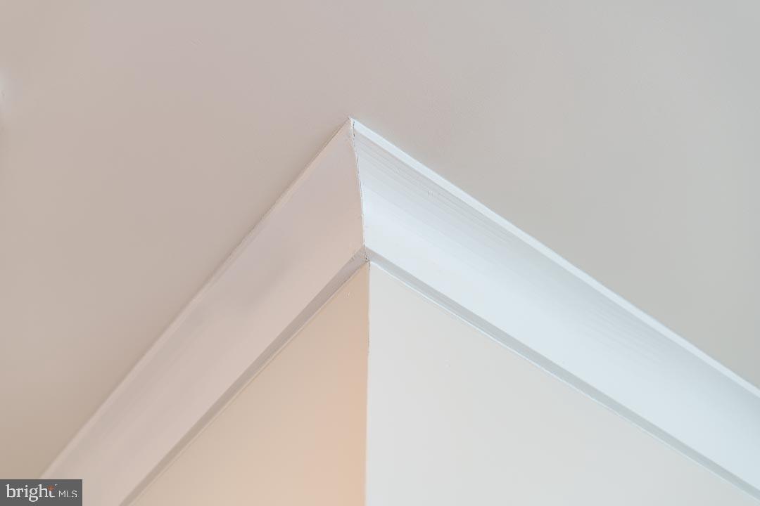 11519 Charlotte Bronte Ln