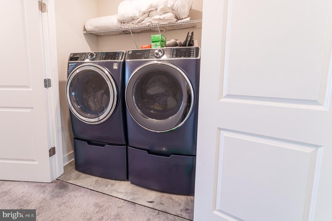 11519 Charlotte Bronte Ln