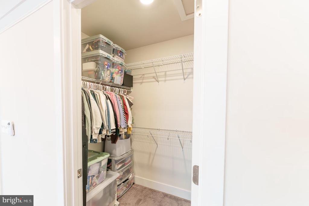 11519 Charlotte Bronte Ln
