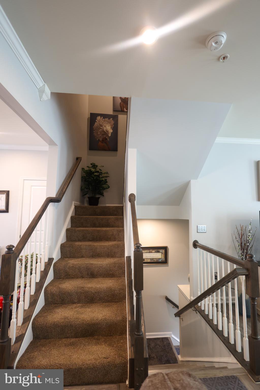 3756 CHARTERHOUSE ALLEY