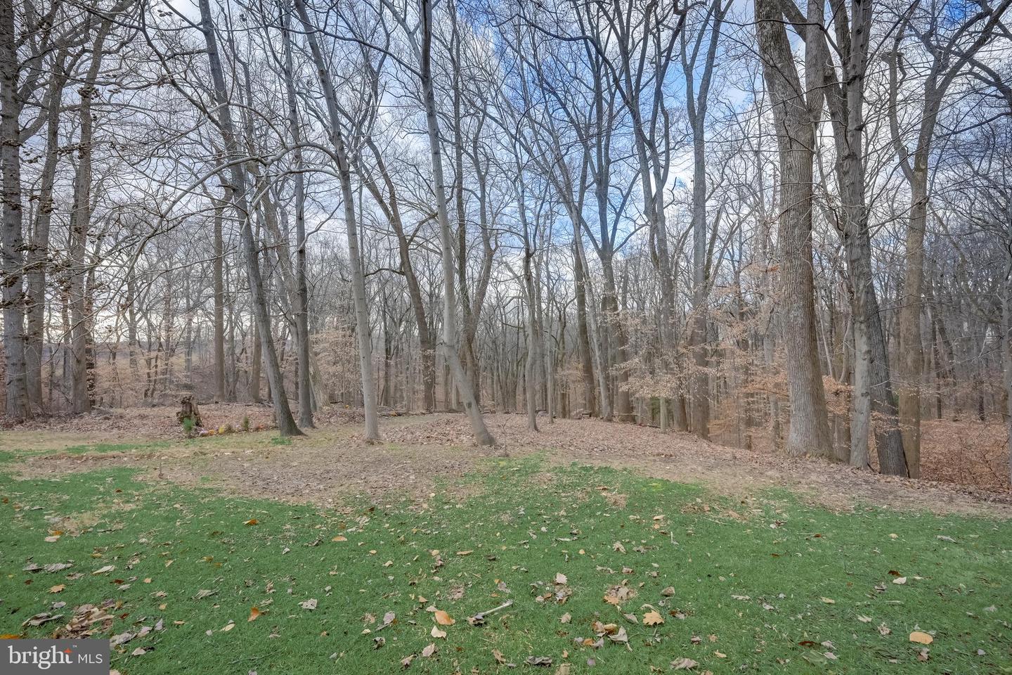 13517 Piscataway Dr
