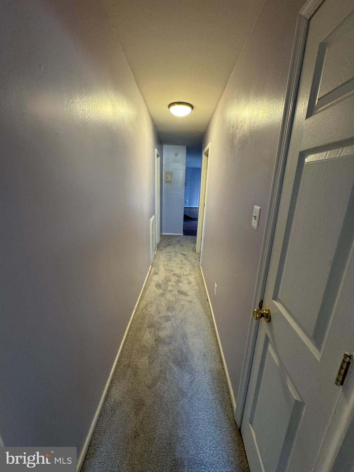 3132 Brinkley Rd #101