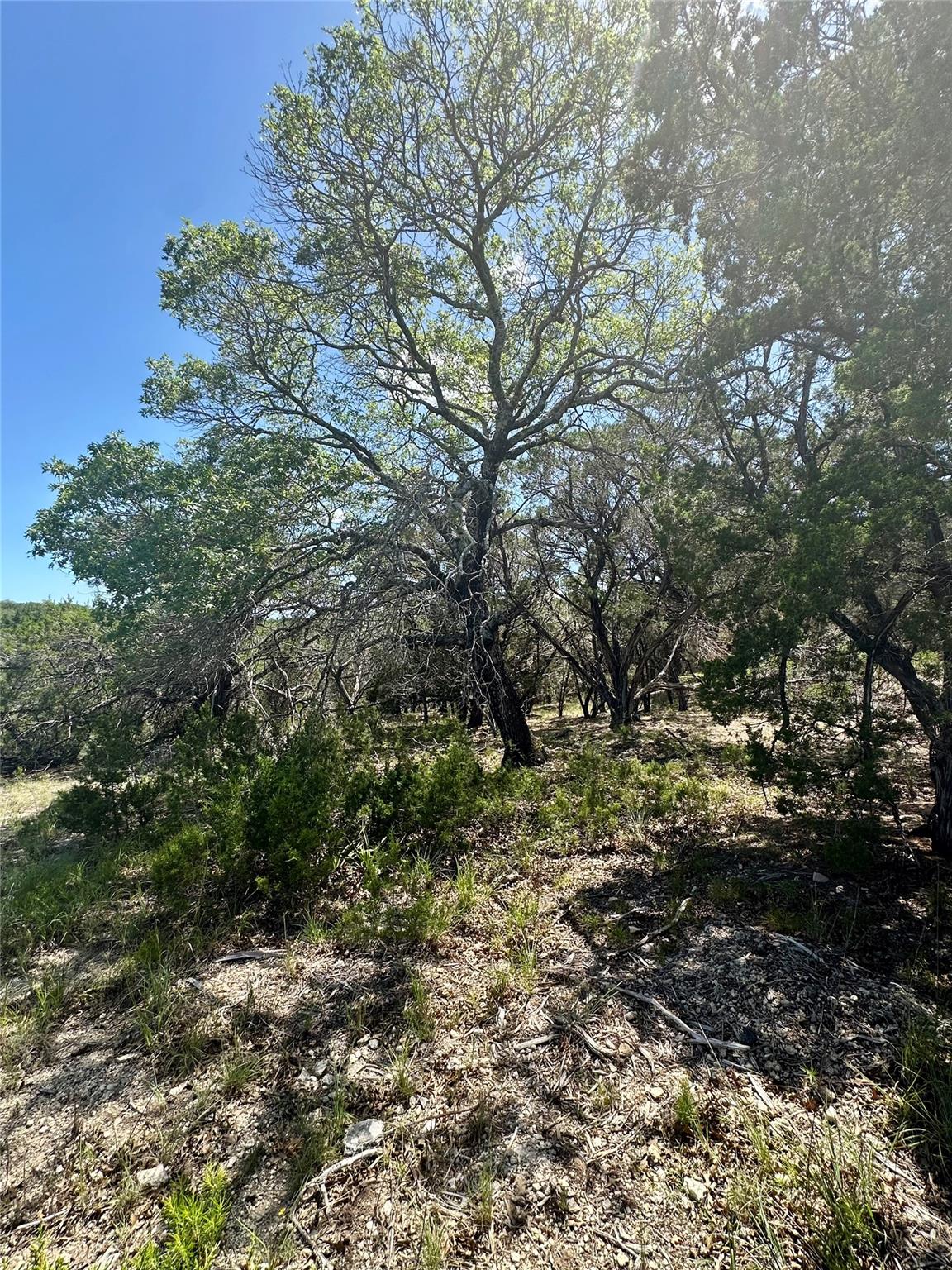 105 N Angel Light DR