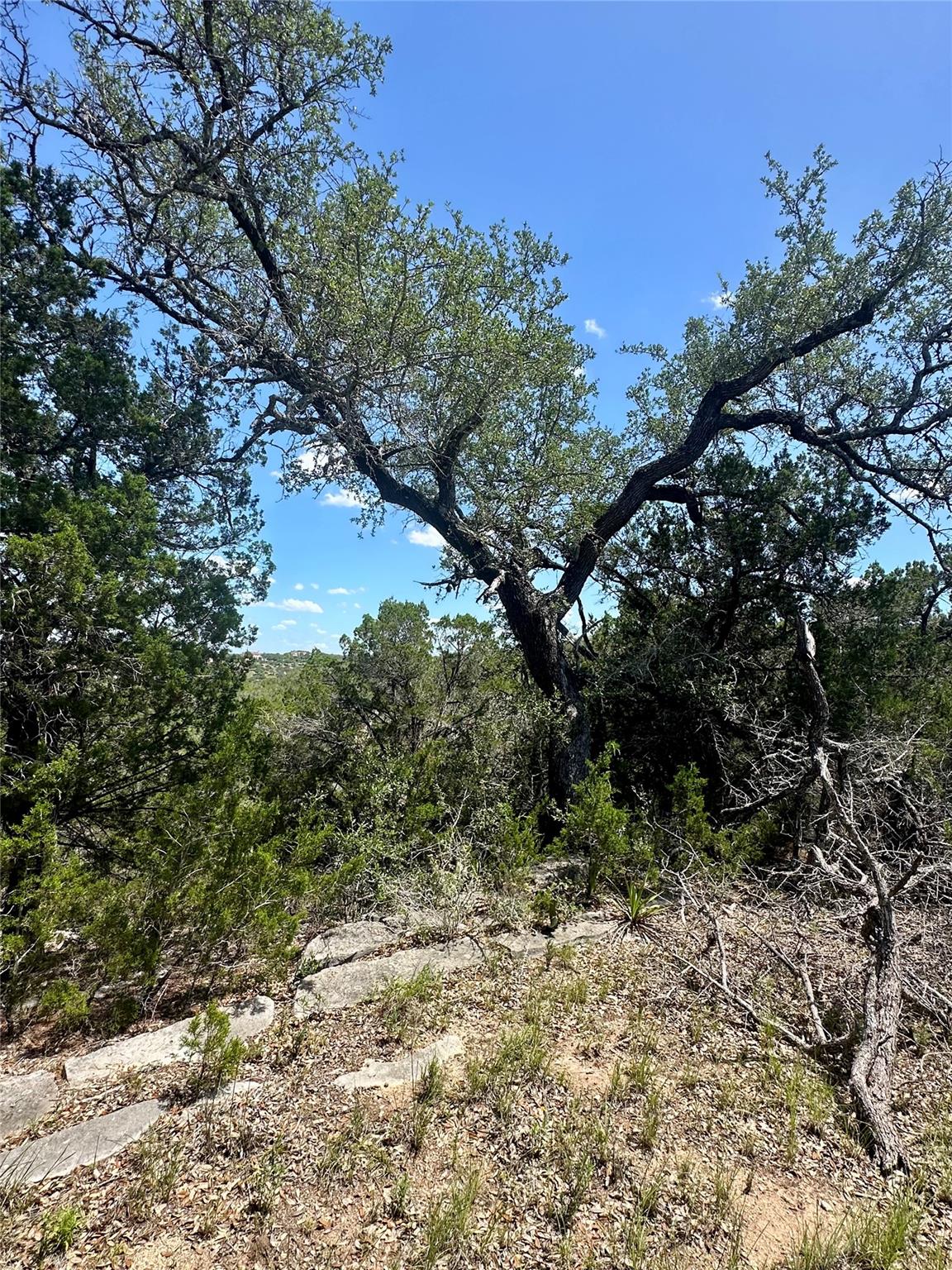 105 N Angel Light DR