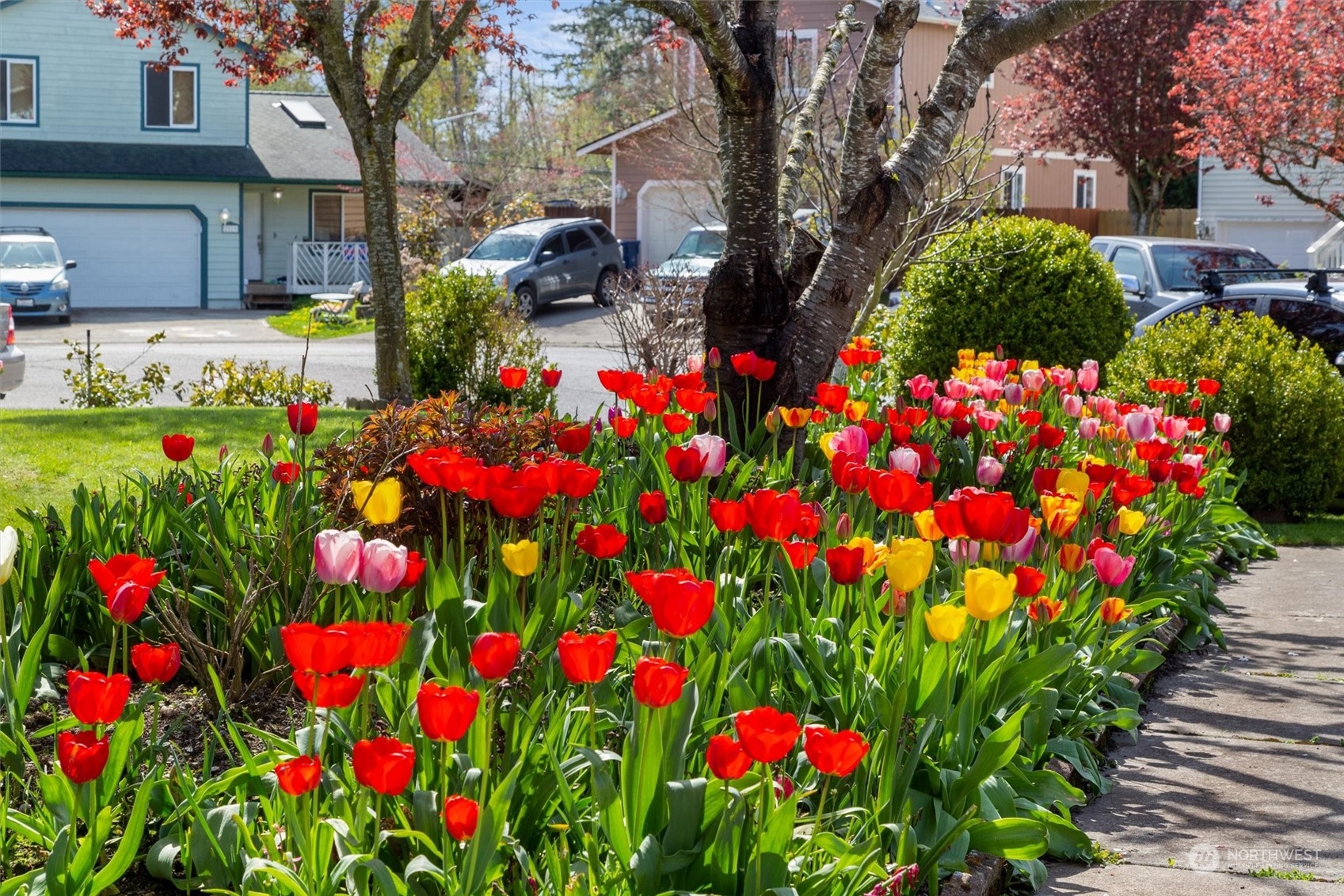 3020 Rosewood Street