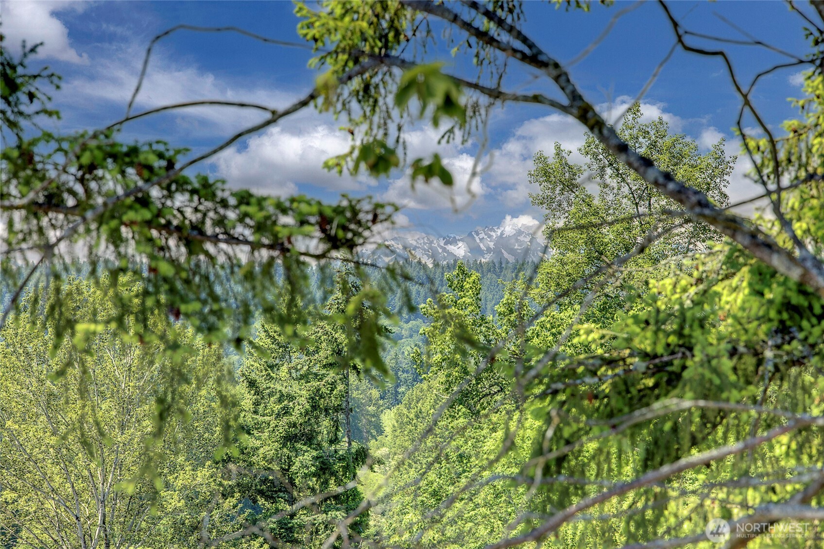 8818 NE 173rd Place Unit: B