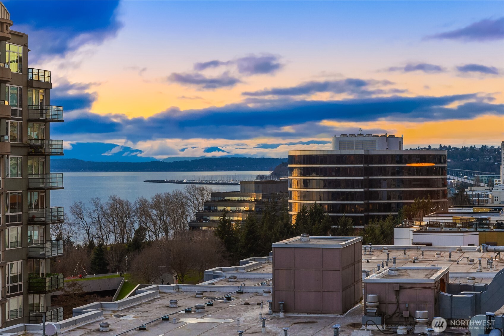 76 Cedar Street Unit: 1203