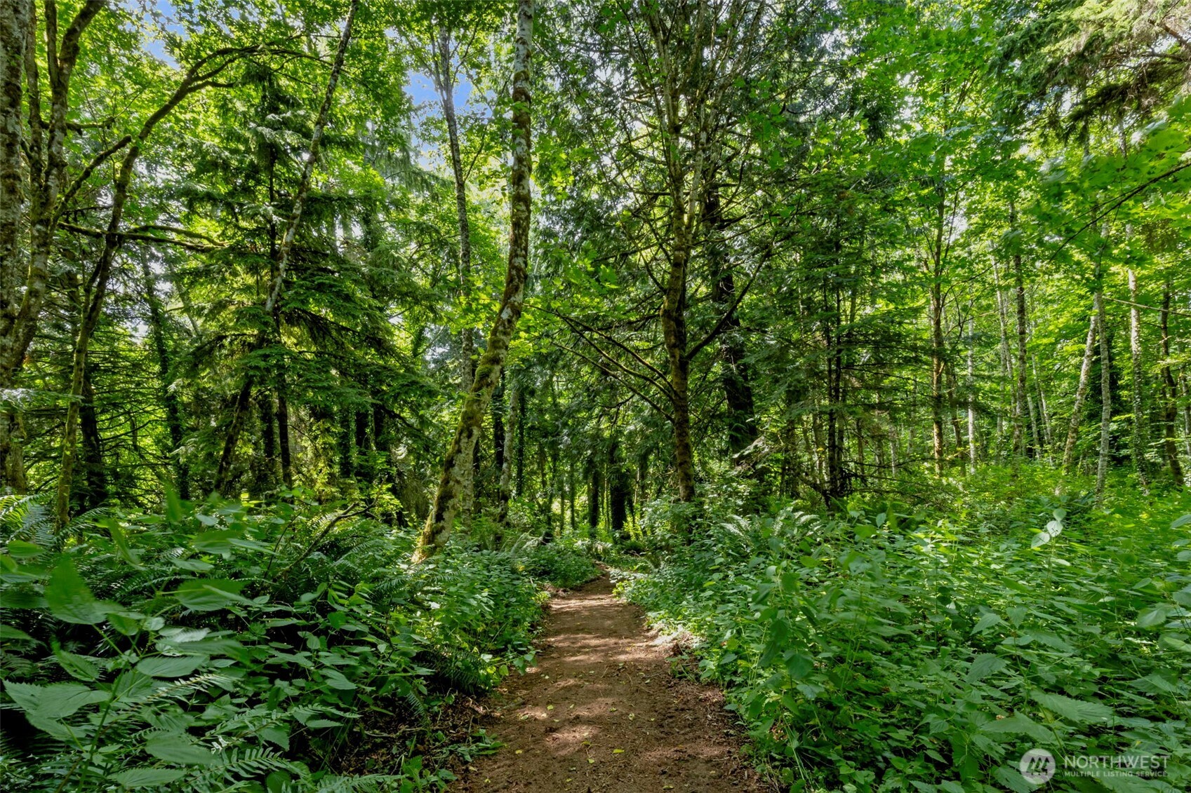 31199 Laughing Dog Avenue NE