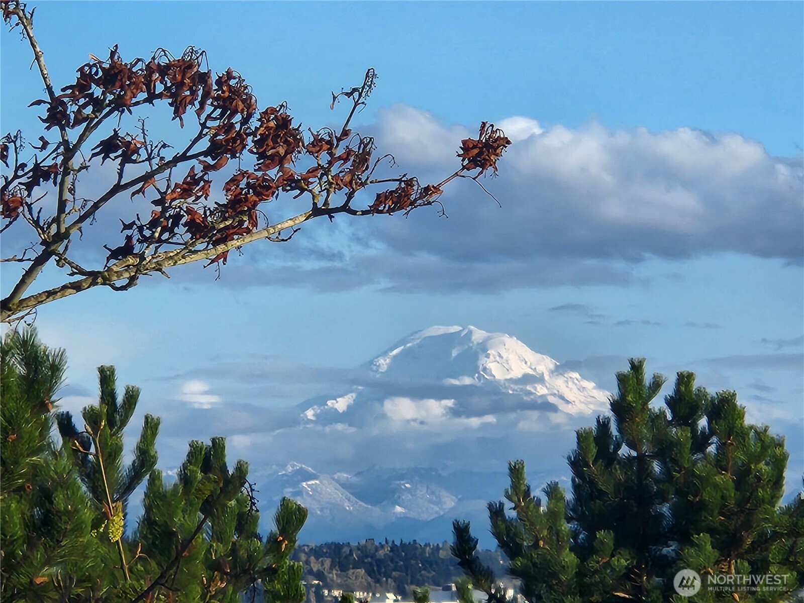 15266 Sunwood Boulevard Unit: D32