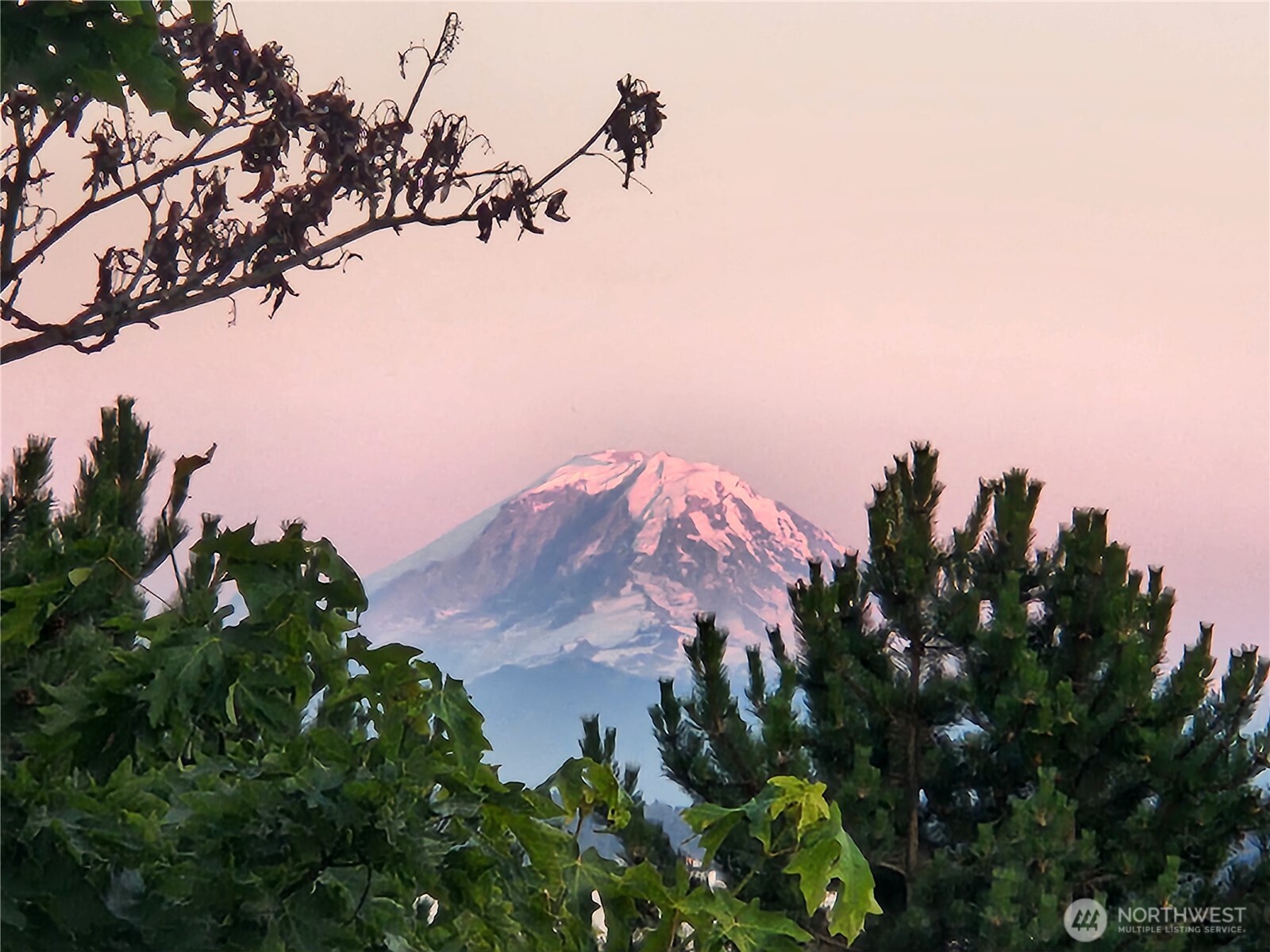 15266 Sunwood Boulevard Unit: D32