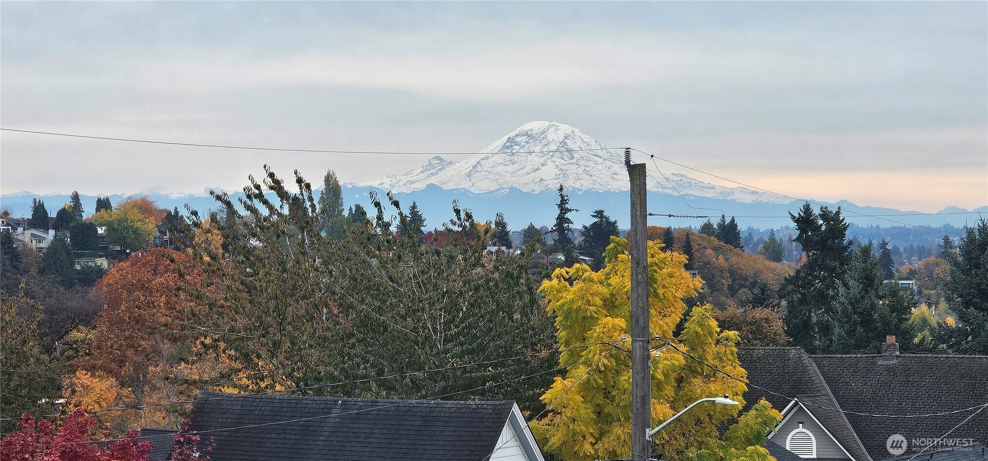 817 24th Avenue S Unit: B