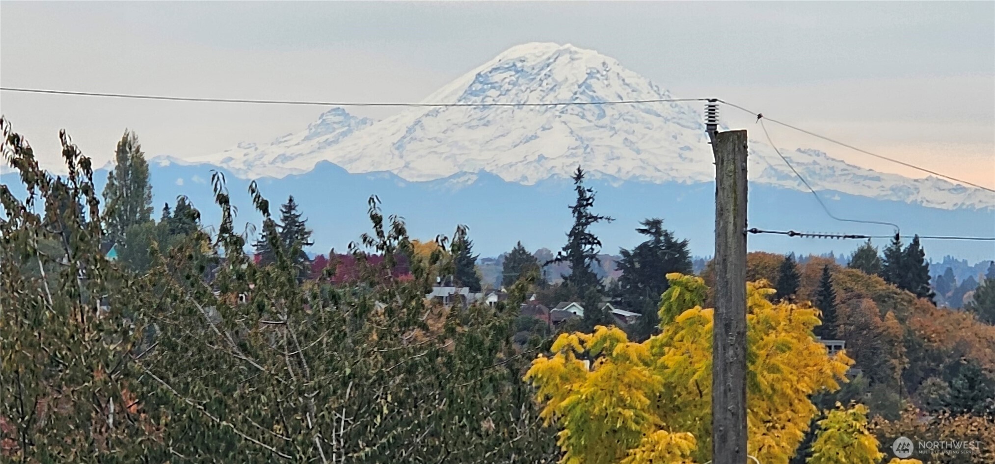 817 24th Avenue S Unit: B