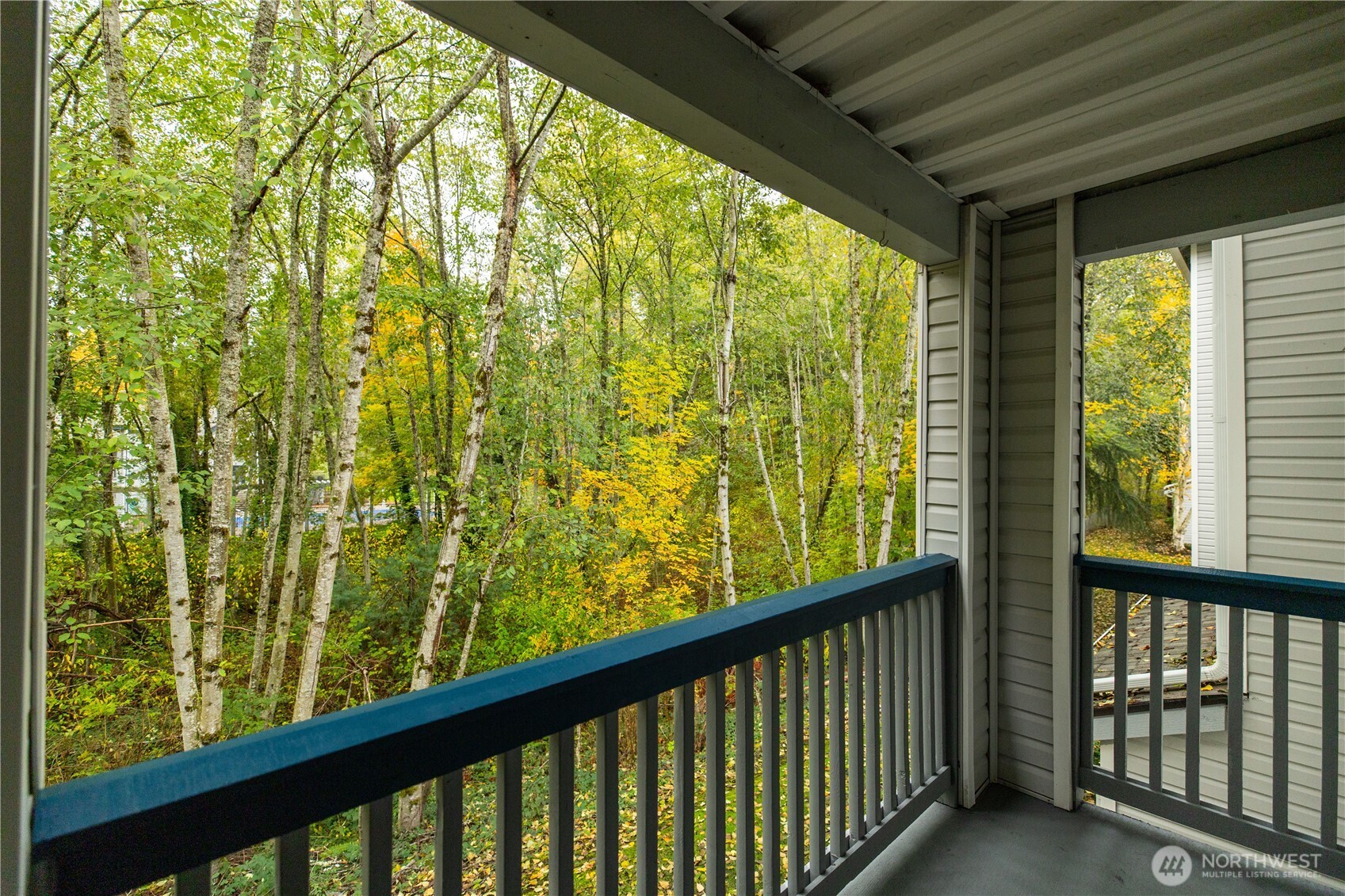 33020 10th Avenue SW Unit: B202