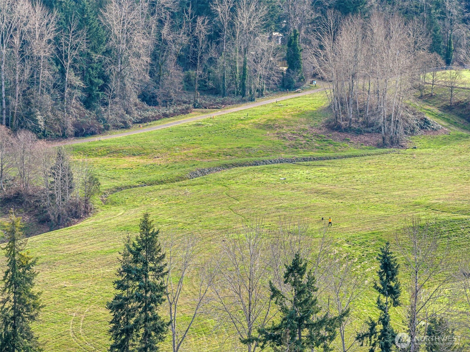 6703 119th Avenue NE